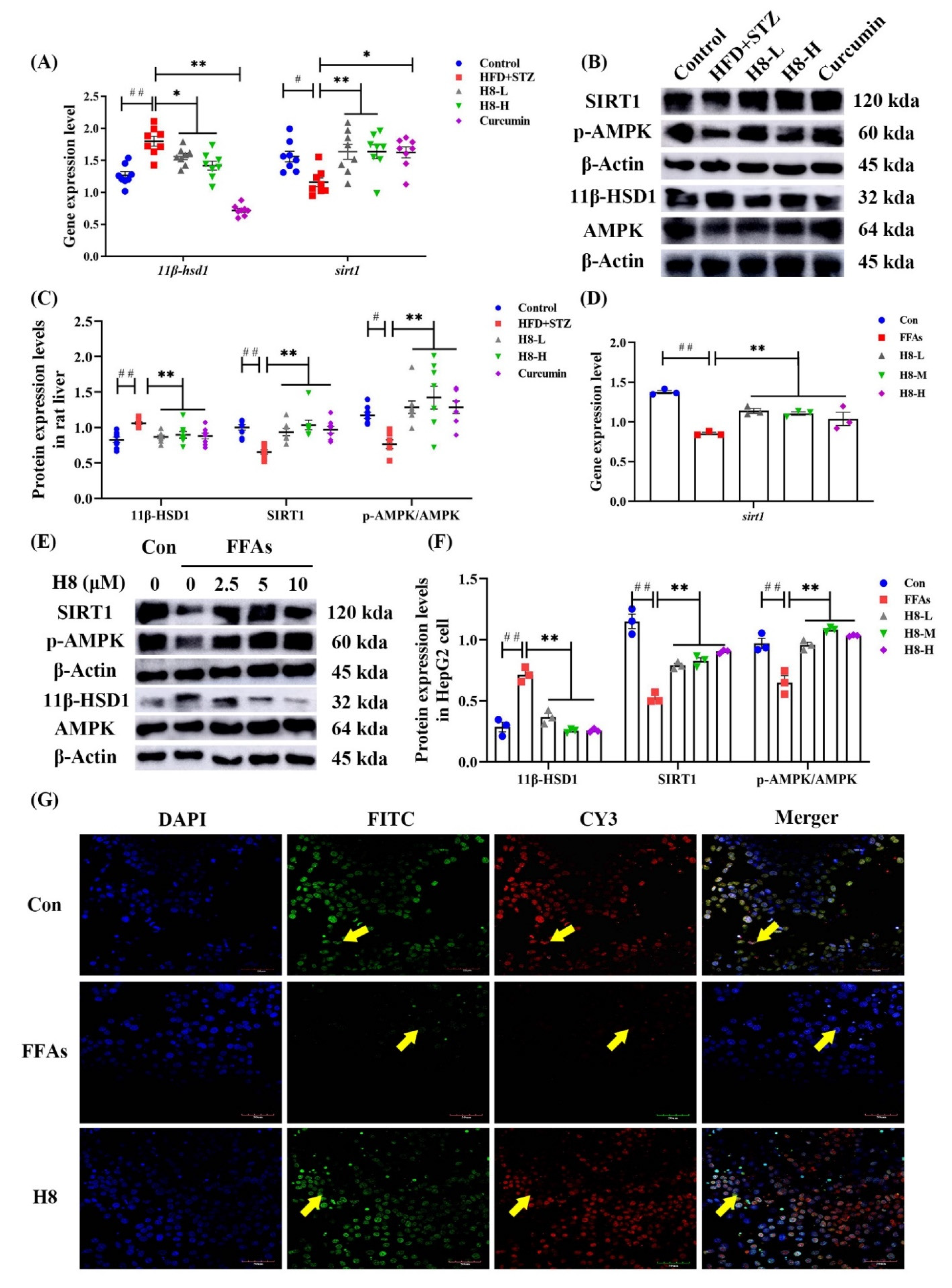 Nutrients 14 02358 g003 Nutrients 14 02358 g003