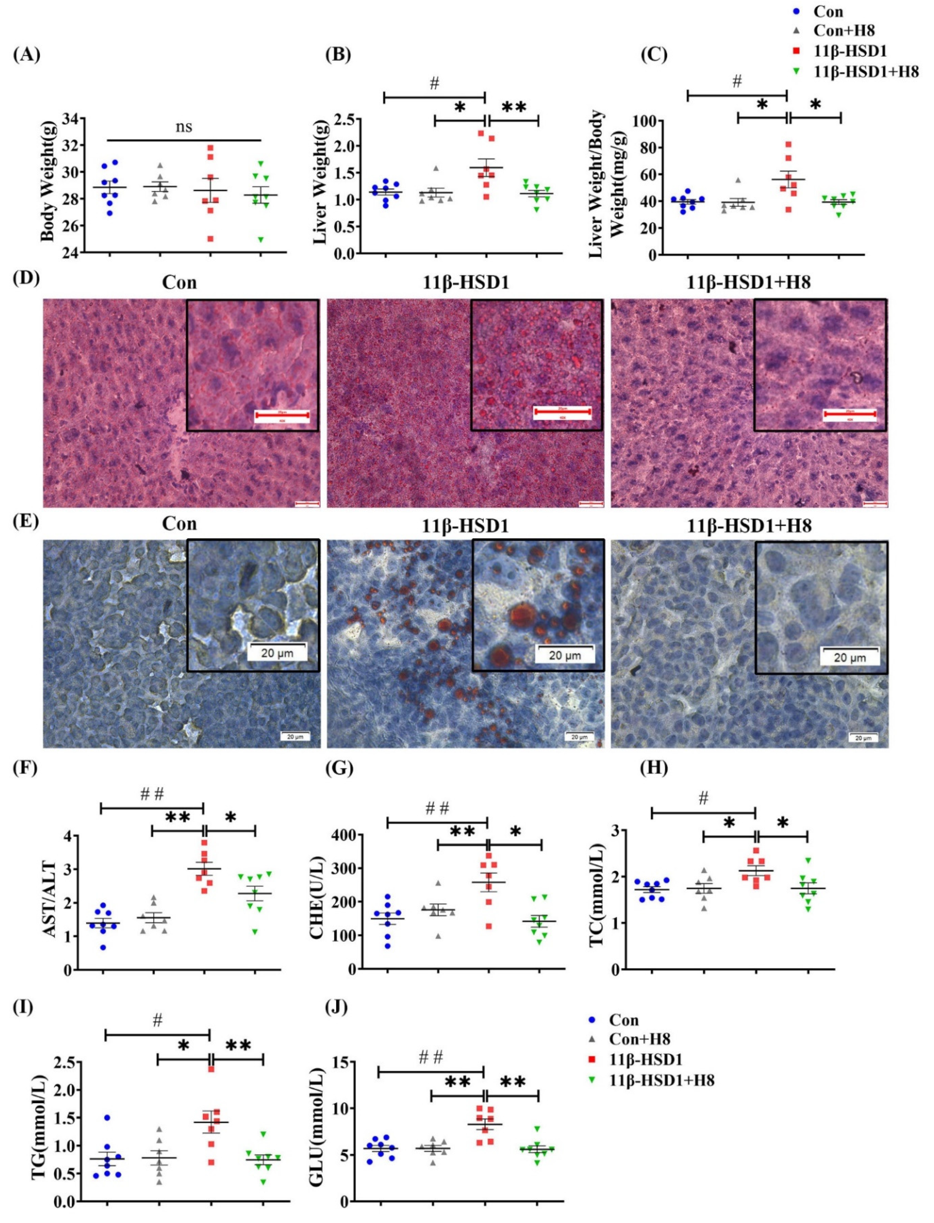 Nutrients 14 02358 g004 Nutrients 14 02358 g004