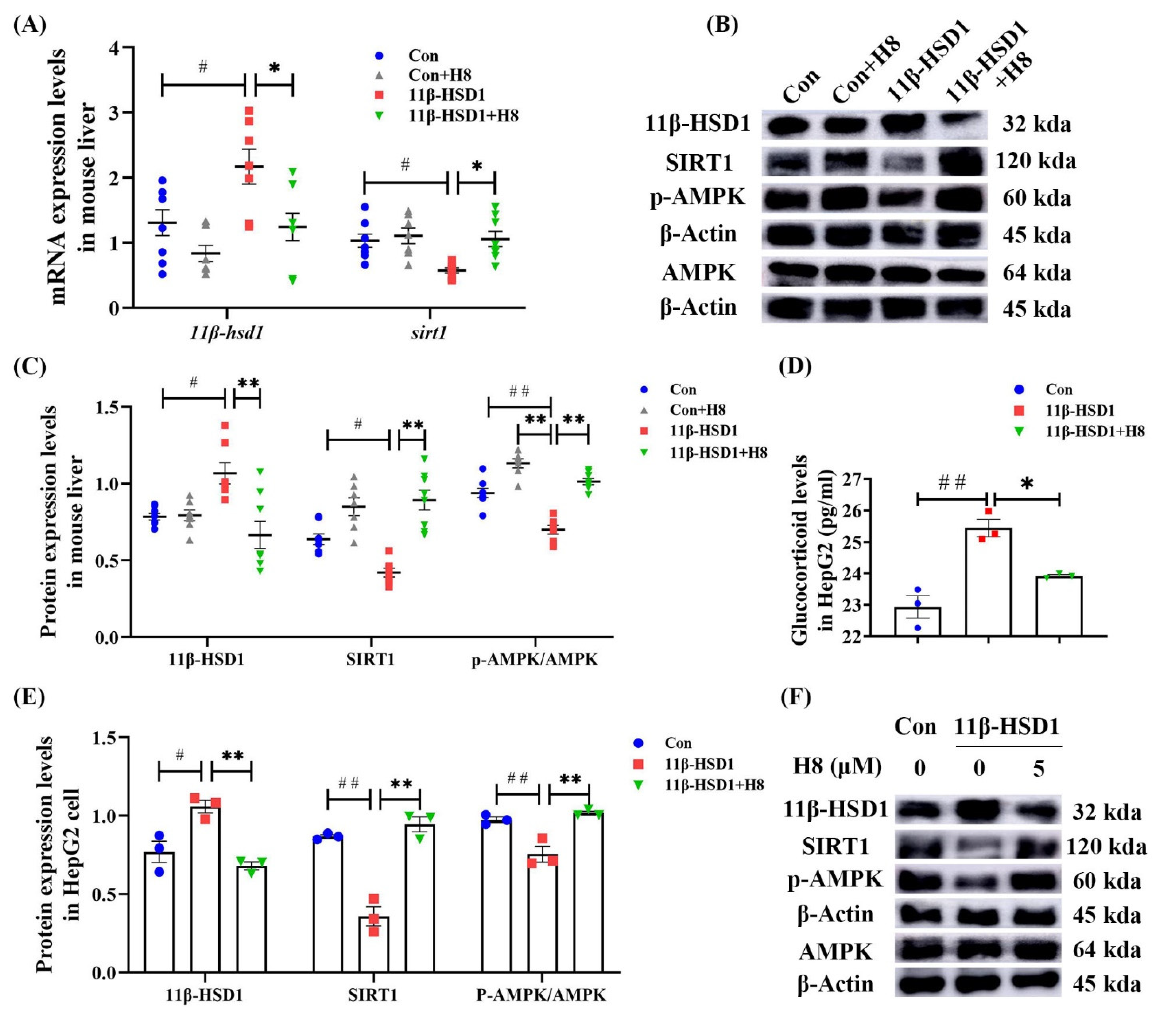 Nutrients 14 02358 g005 Nutrients 14 02358 g005