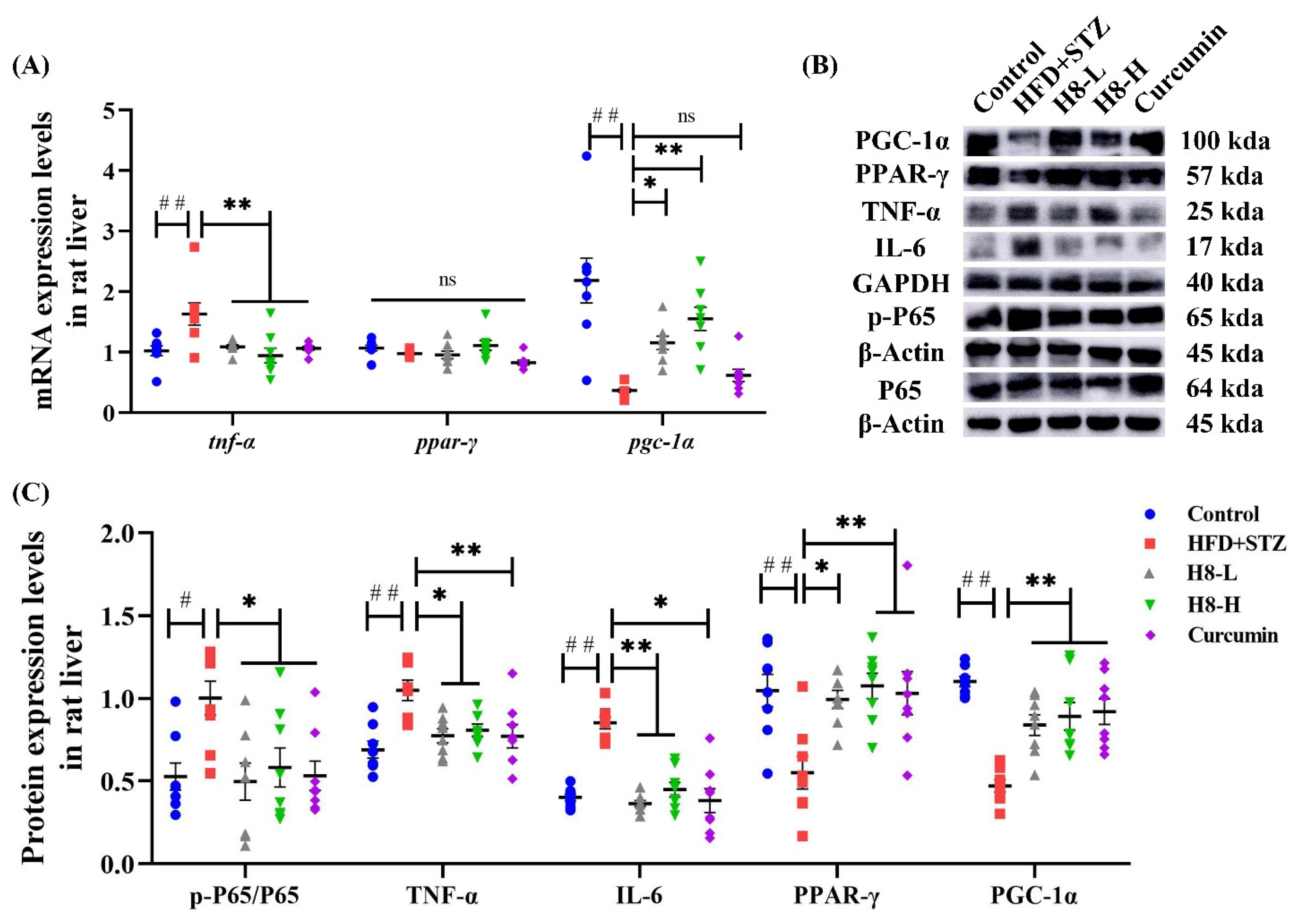 Nutrients 14 02358 g008 Nutrients 14 02358 g008