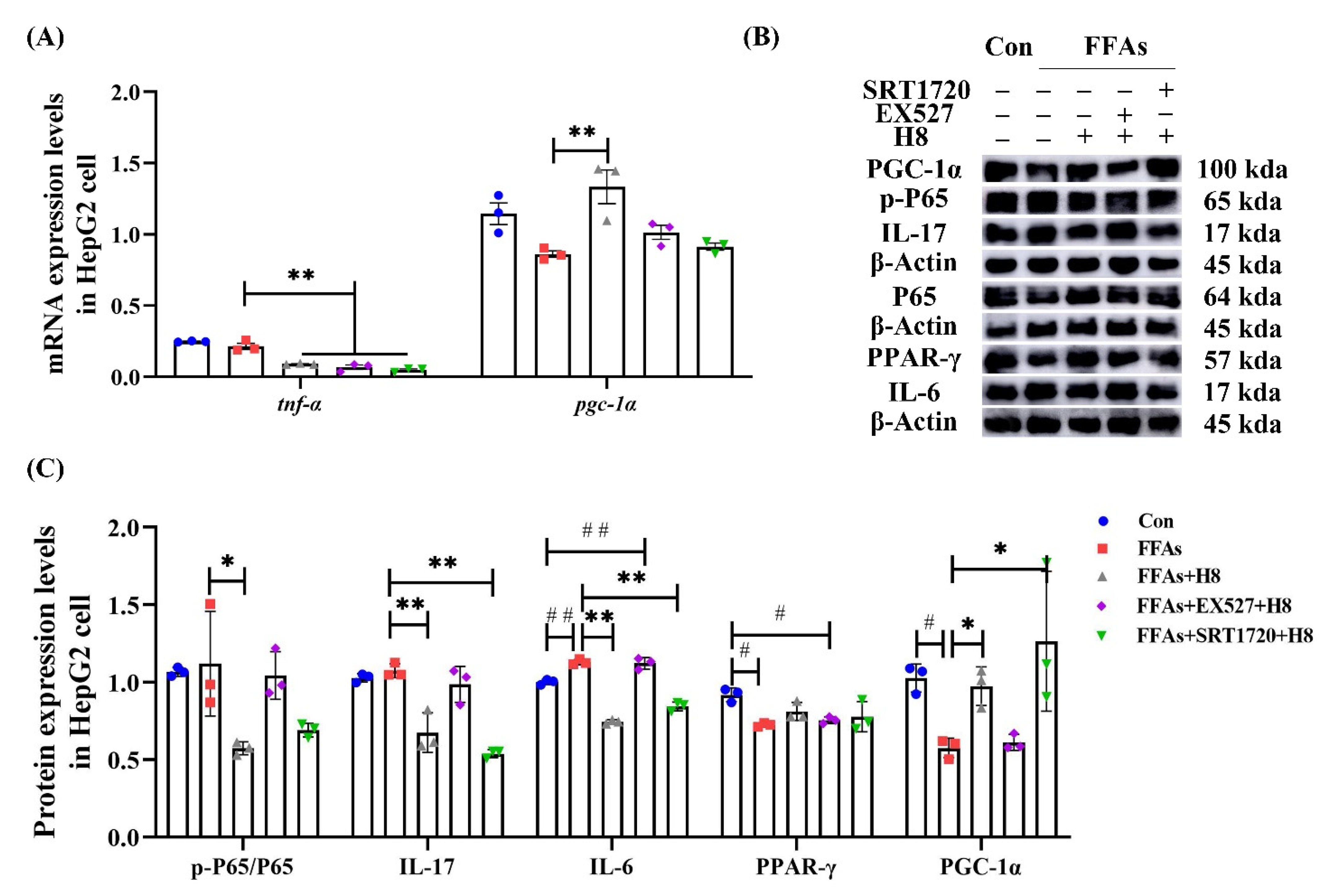 Nutrients 14 02358 g009 Nutrients 14 02358 g009