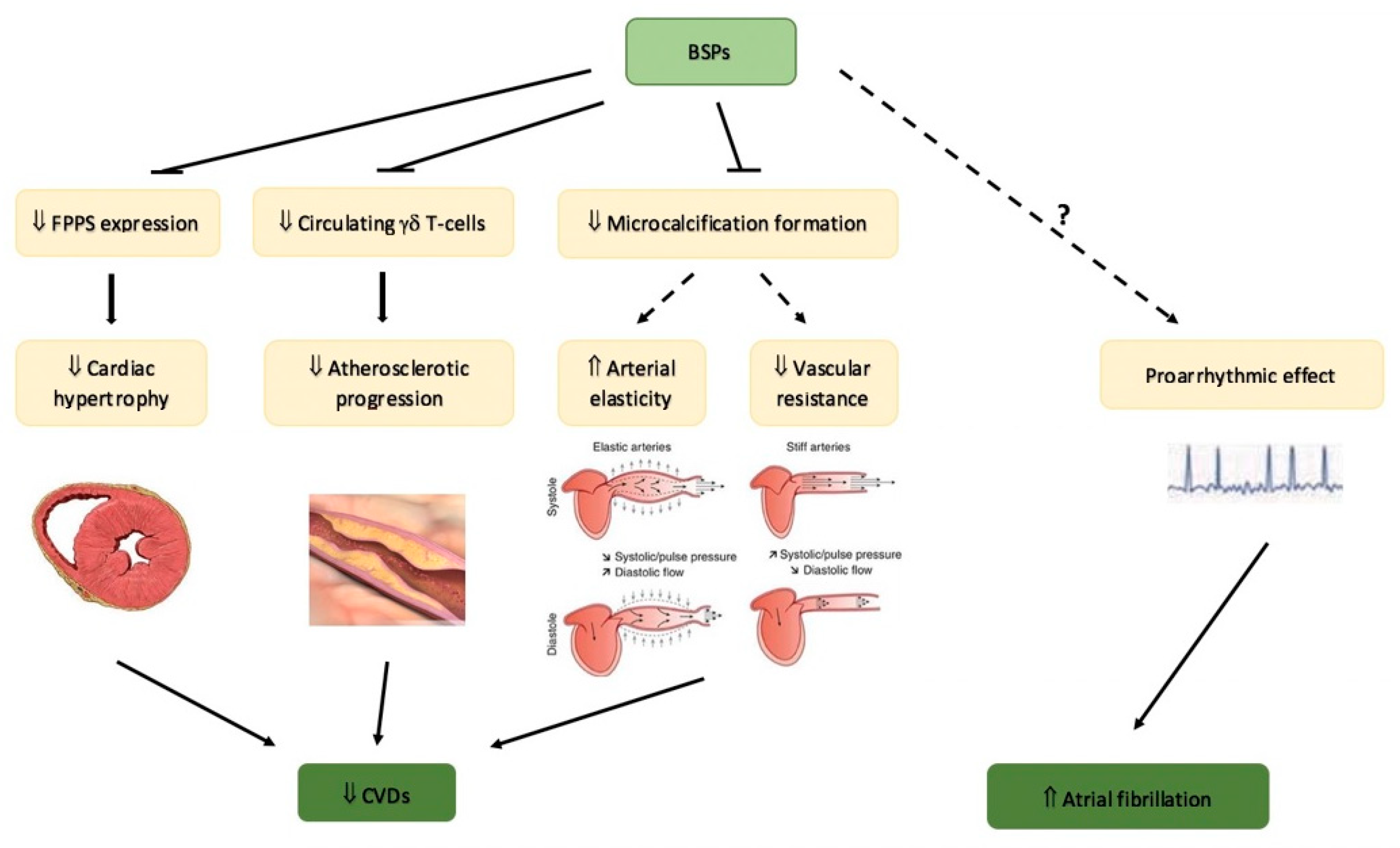 Nutrients 14 02369 g002