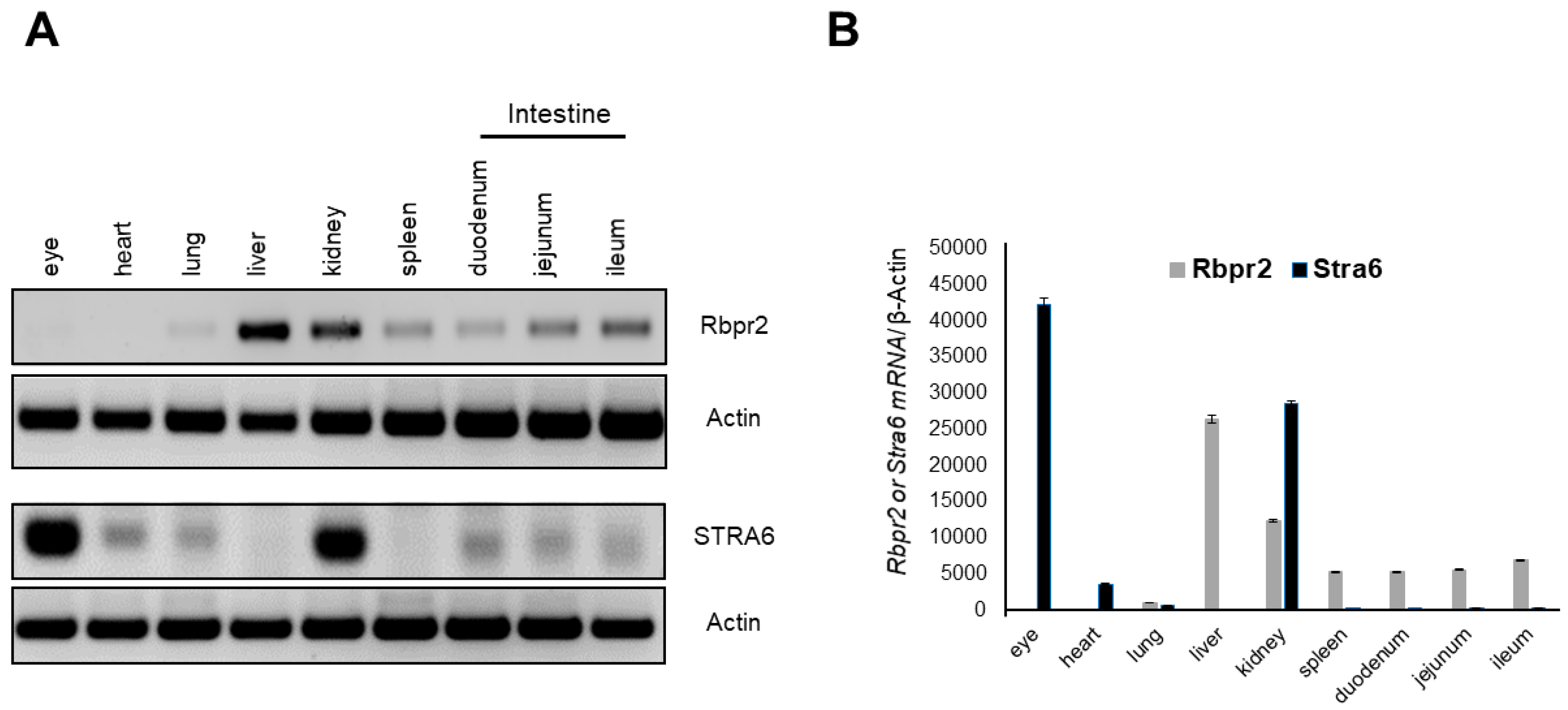 Nutrients 14 02371 g002 550