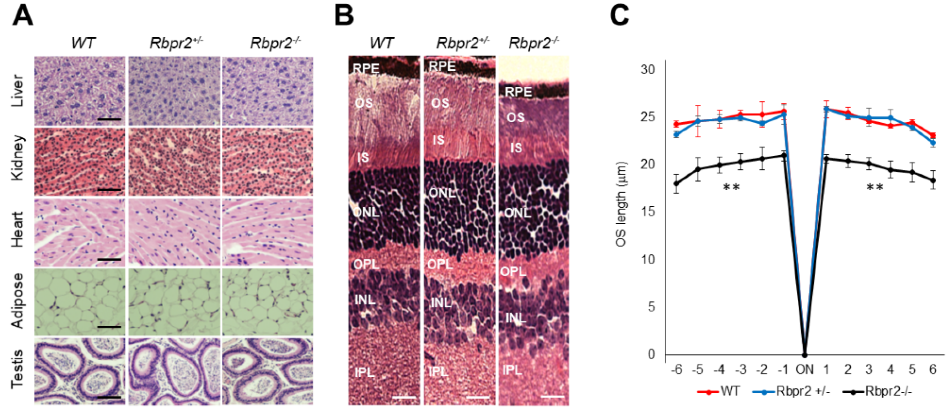 Nutrients 14 02371 g004 550