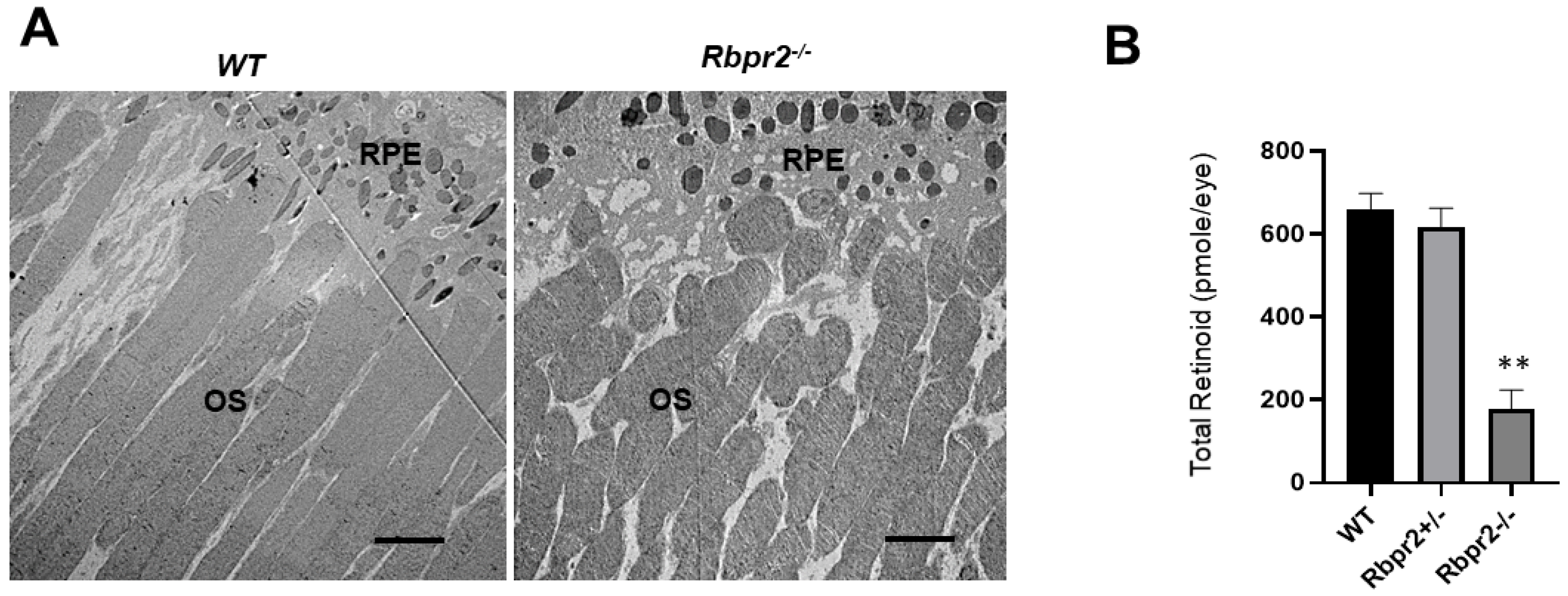 Nutrients 14 02371 g005 550