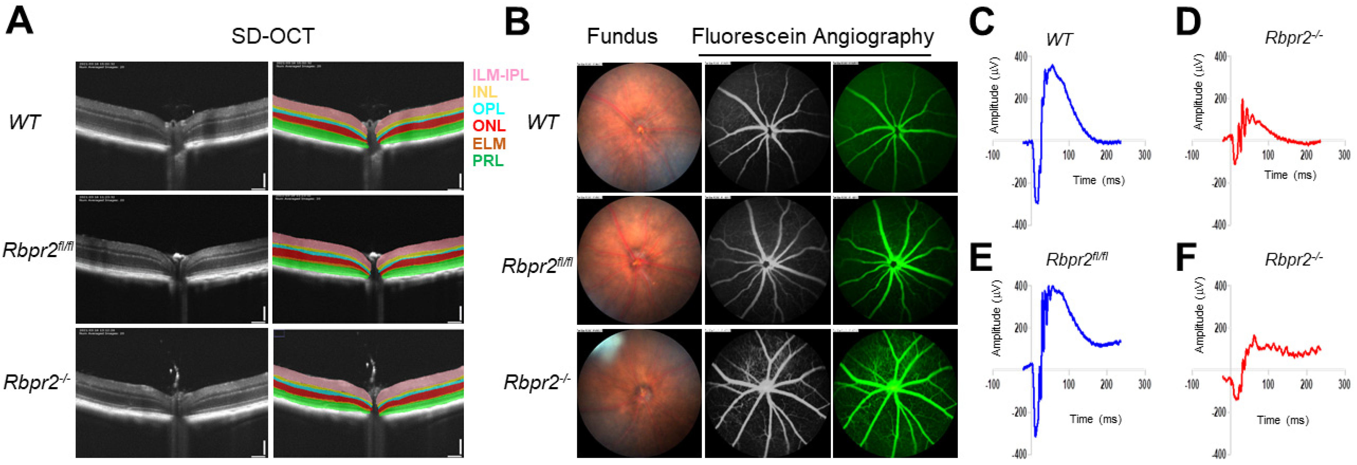 Nutrients 14 02371 g006 550