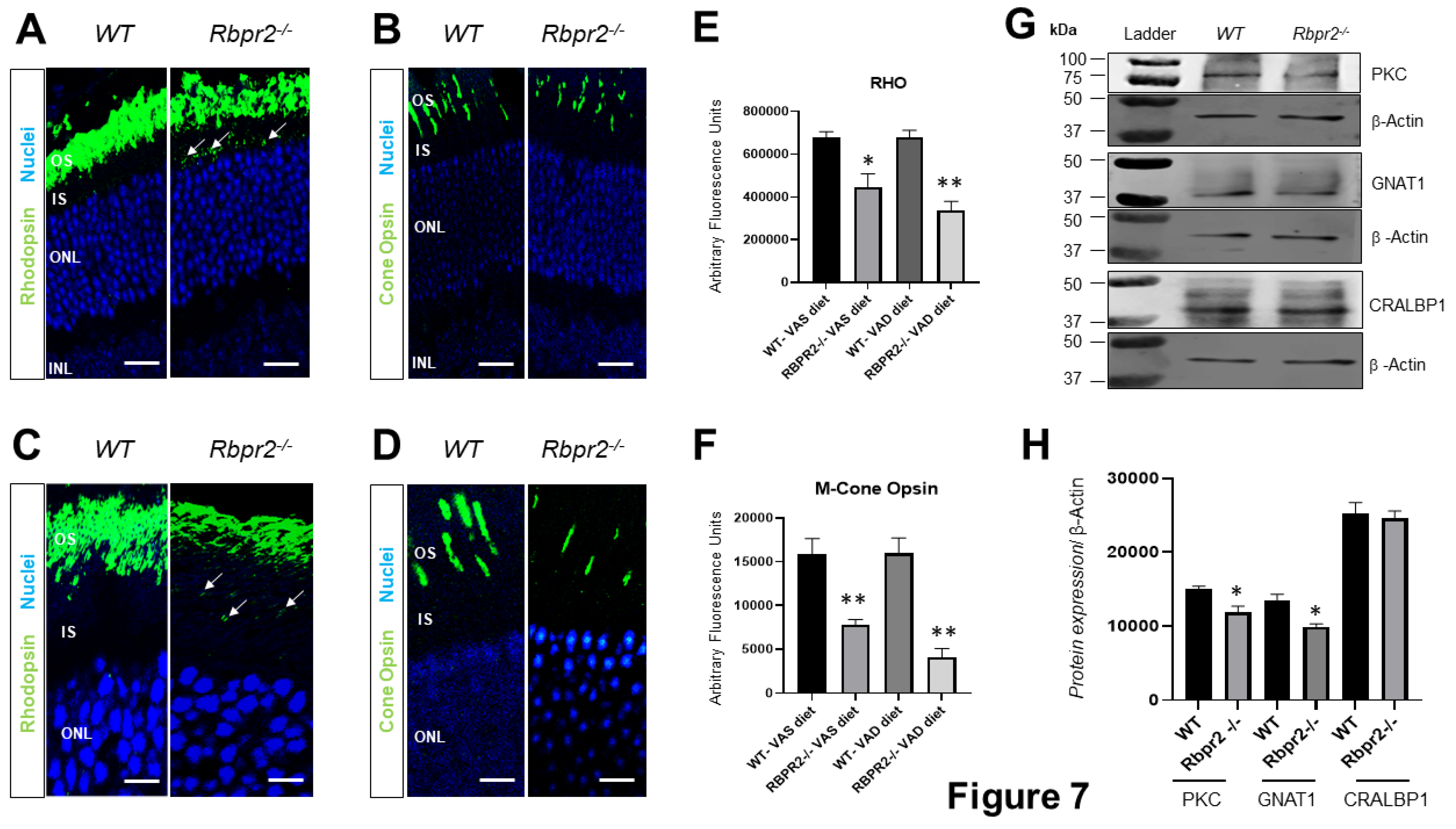 Nutrients 14 02371 g007 550