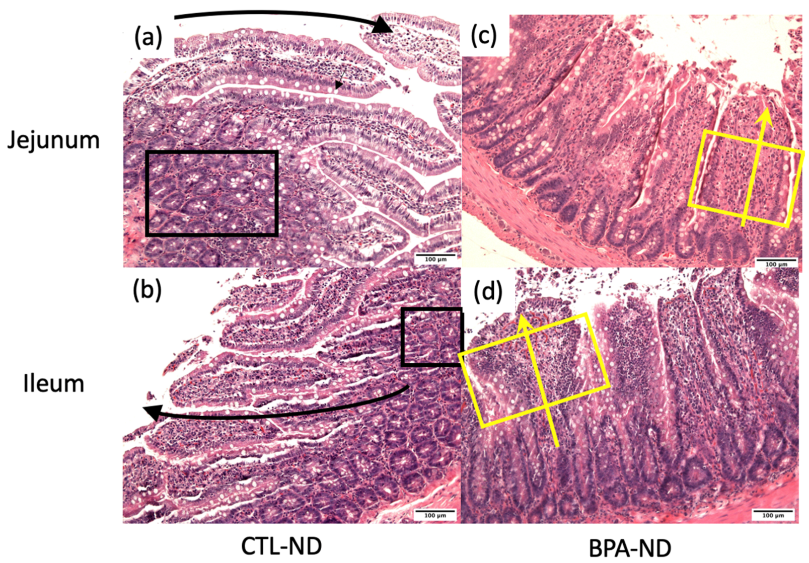 Nutrients 14 02382 g003 550