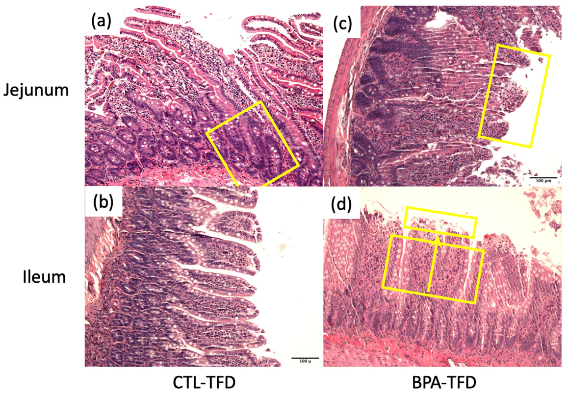 Nutrients 14 02382 g004 550