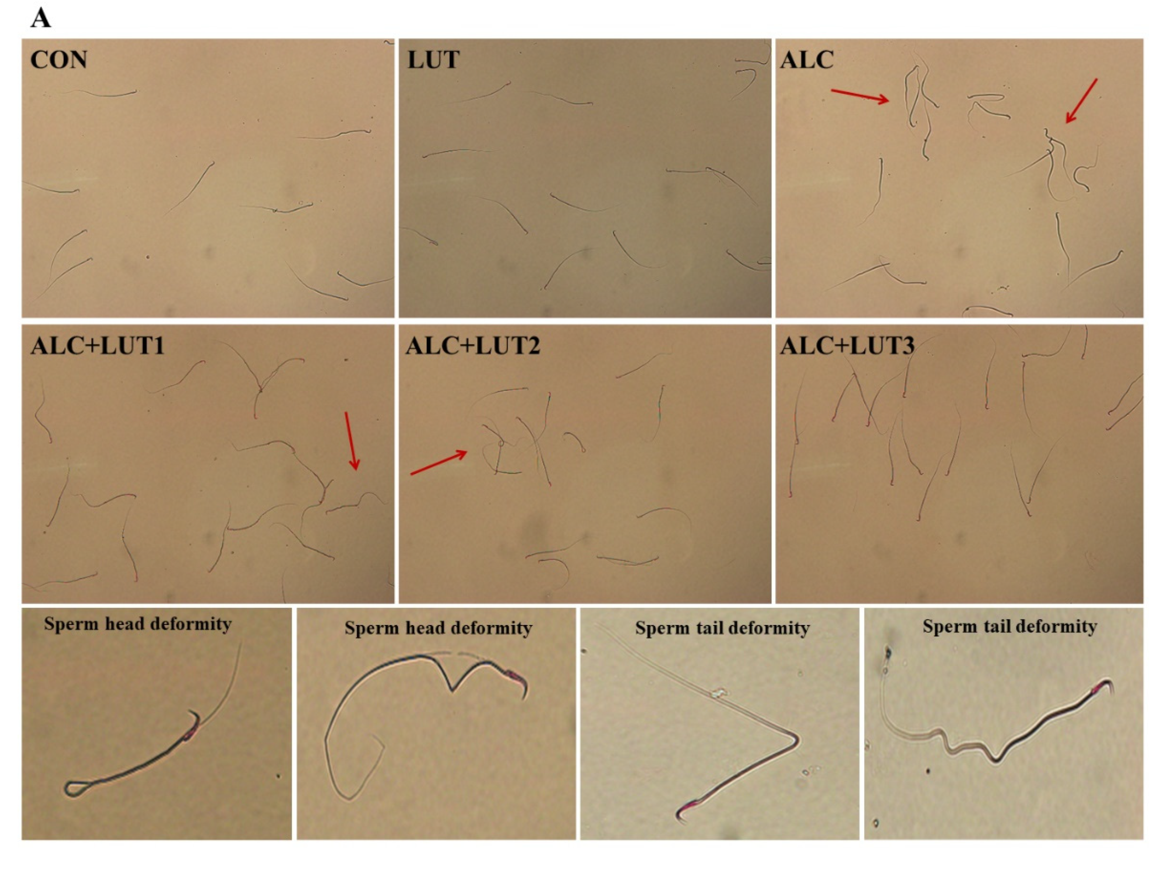 Nutrients 14 02385 g002a