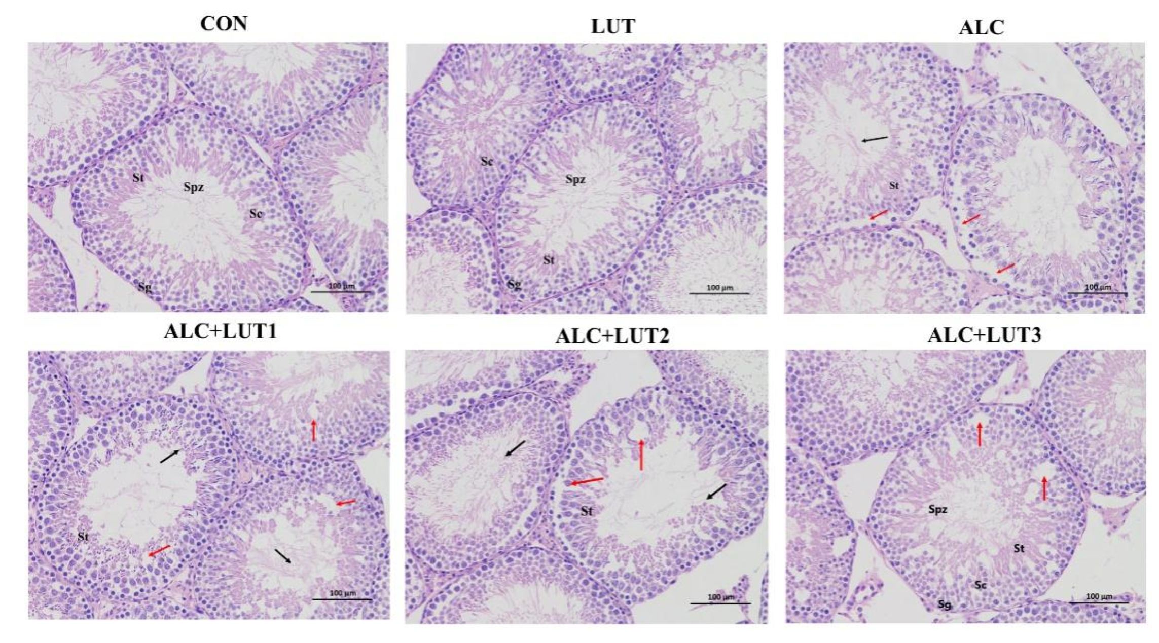 Nutrients 14 02385 g003