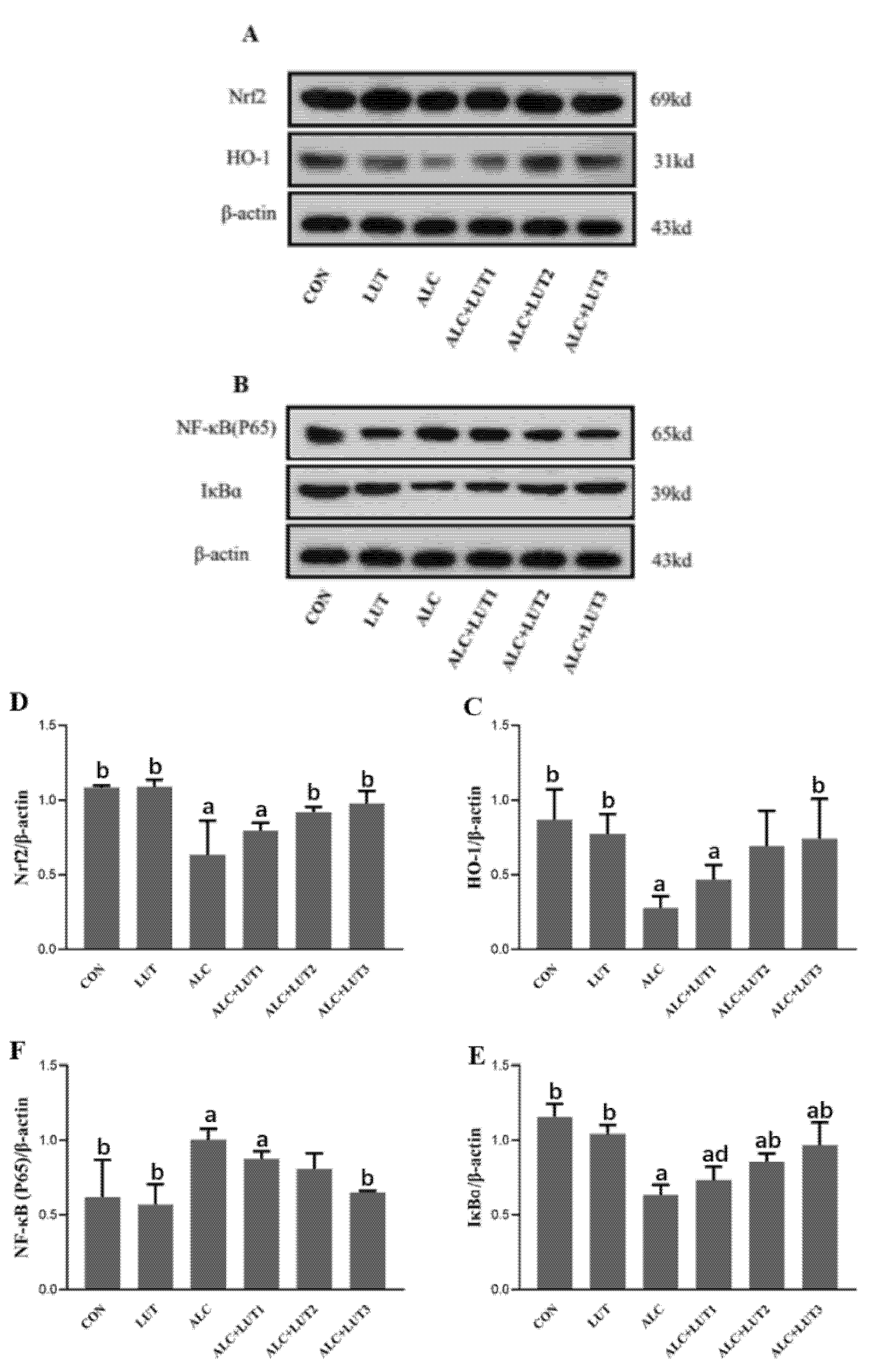 Nutrients 14 02385 g006