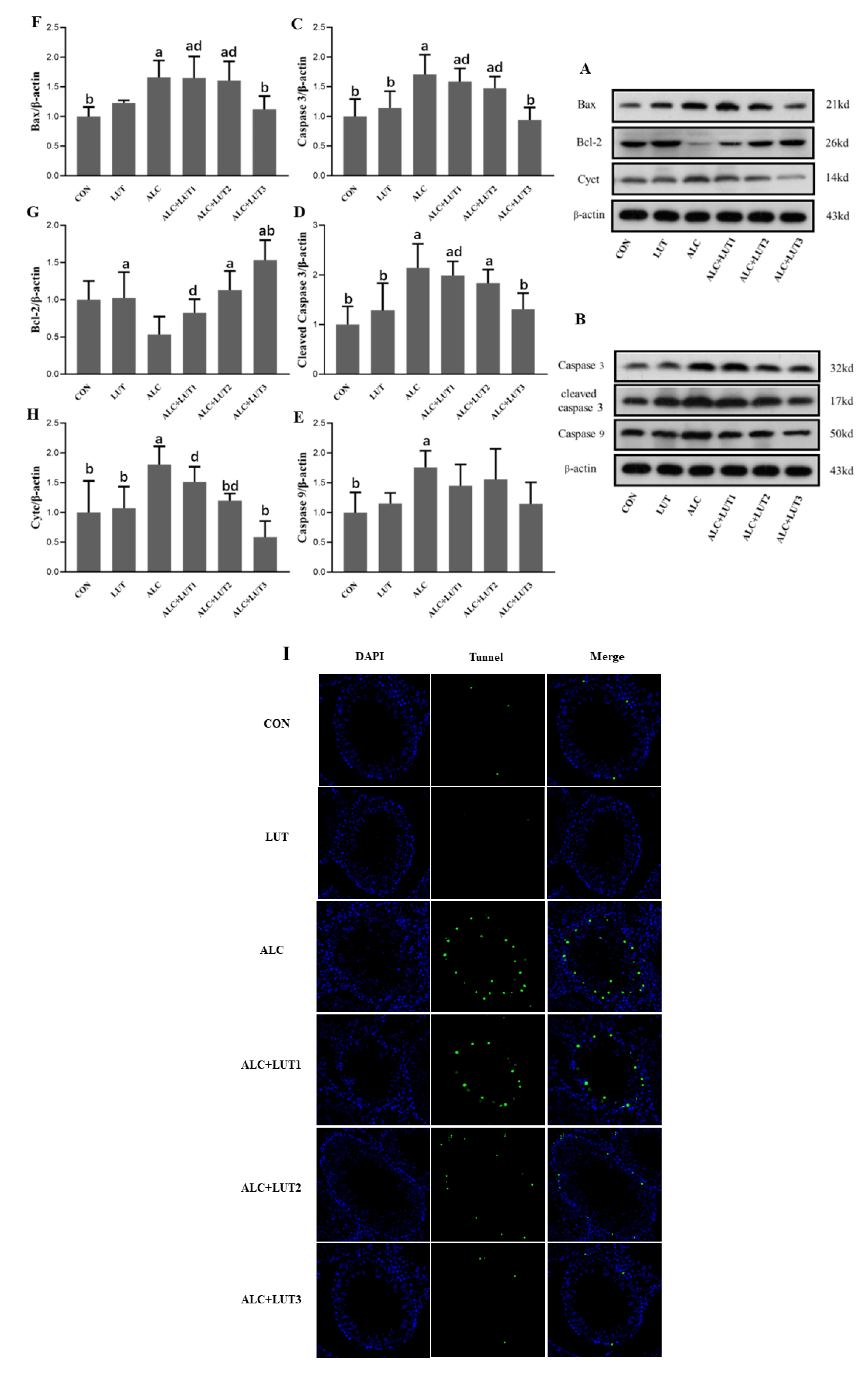 Nutrients 14 02385 g007