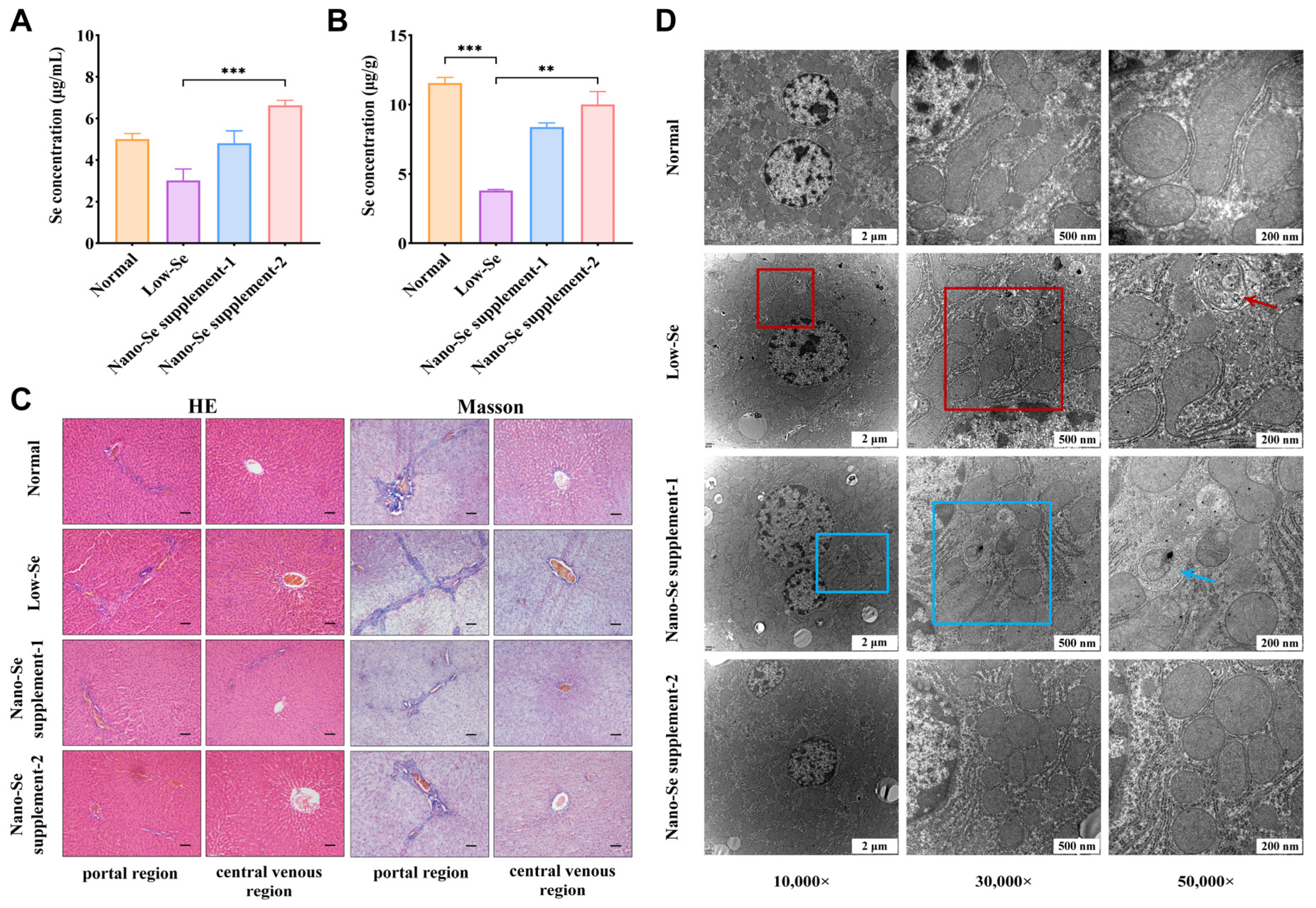 Nutrients 14 02410 g001