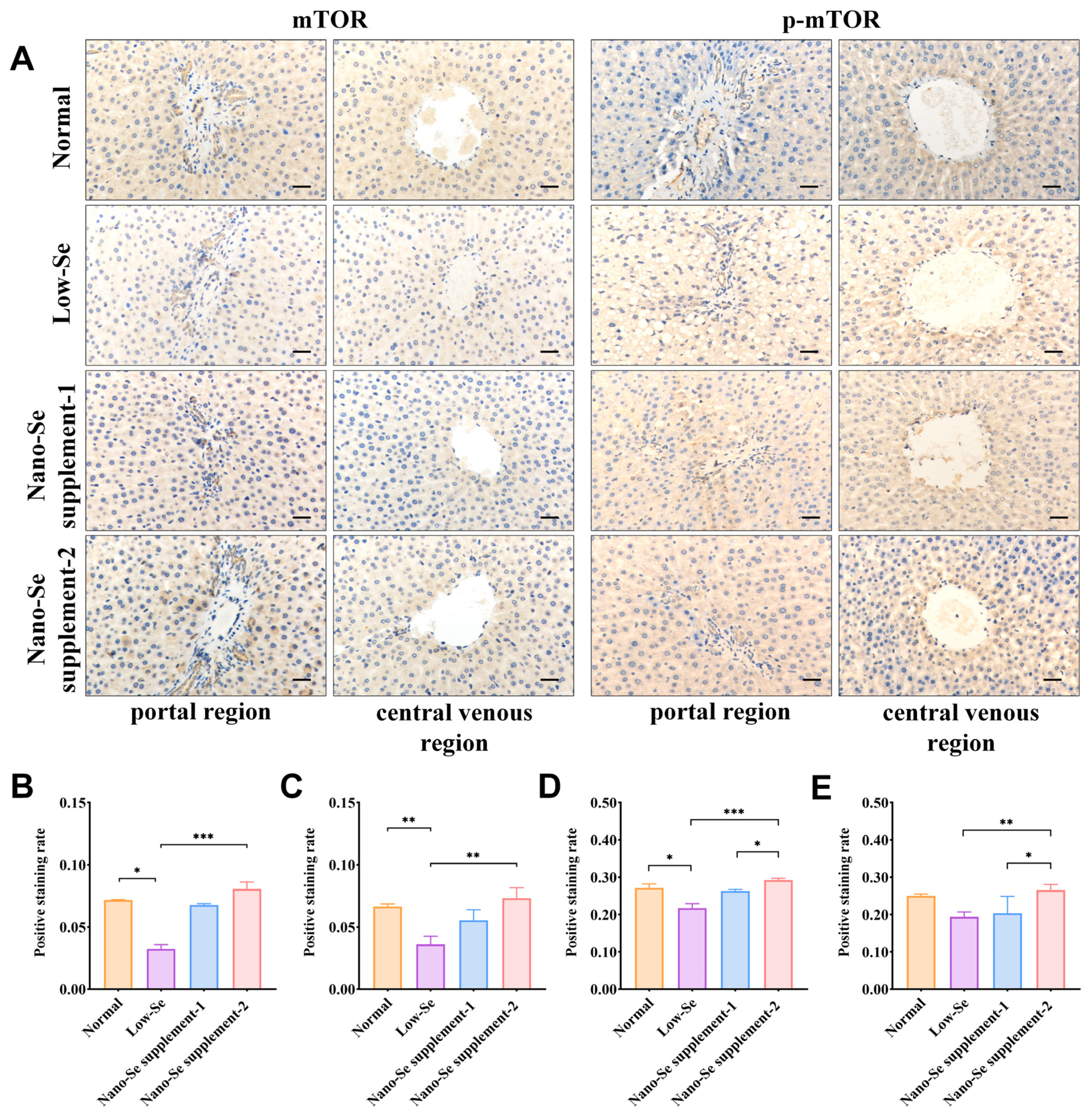 Nutrients 14 02410 g004