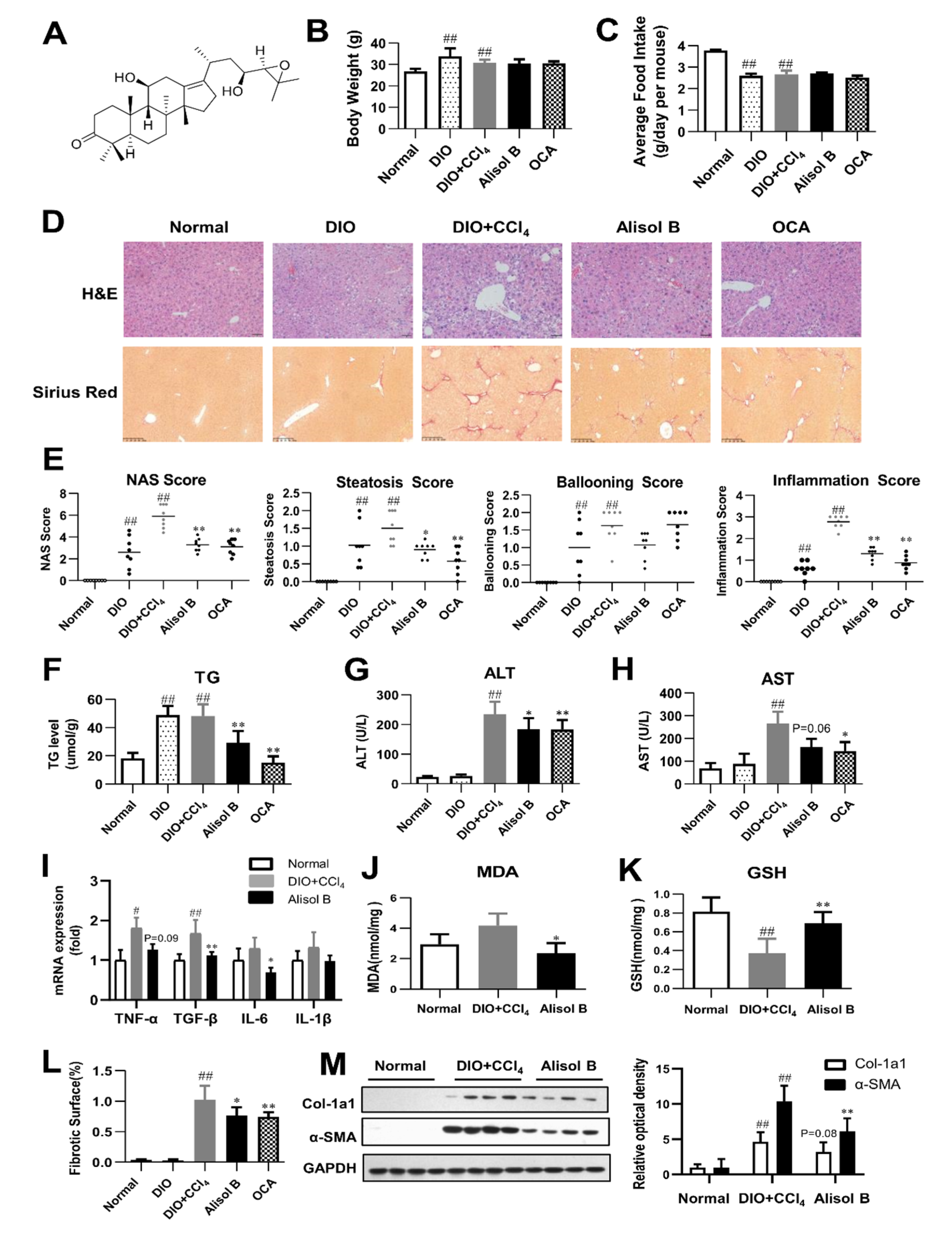 Nutrients 14 02411 g001