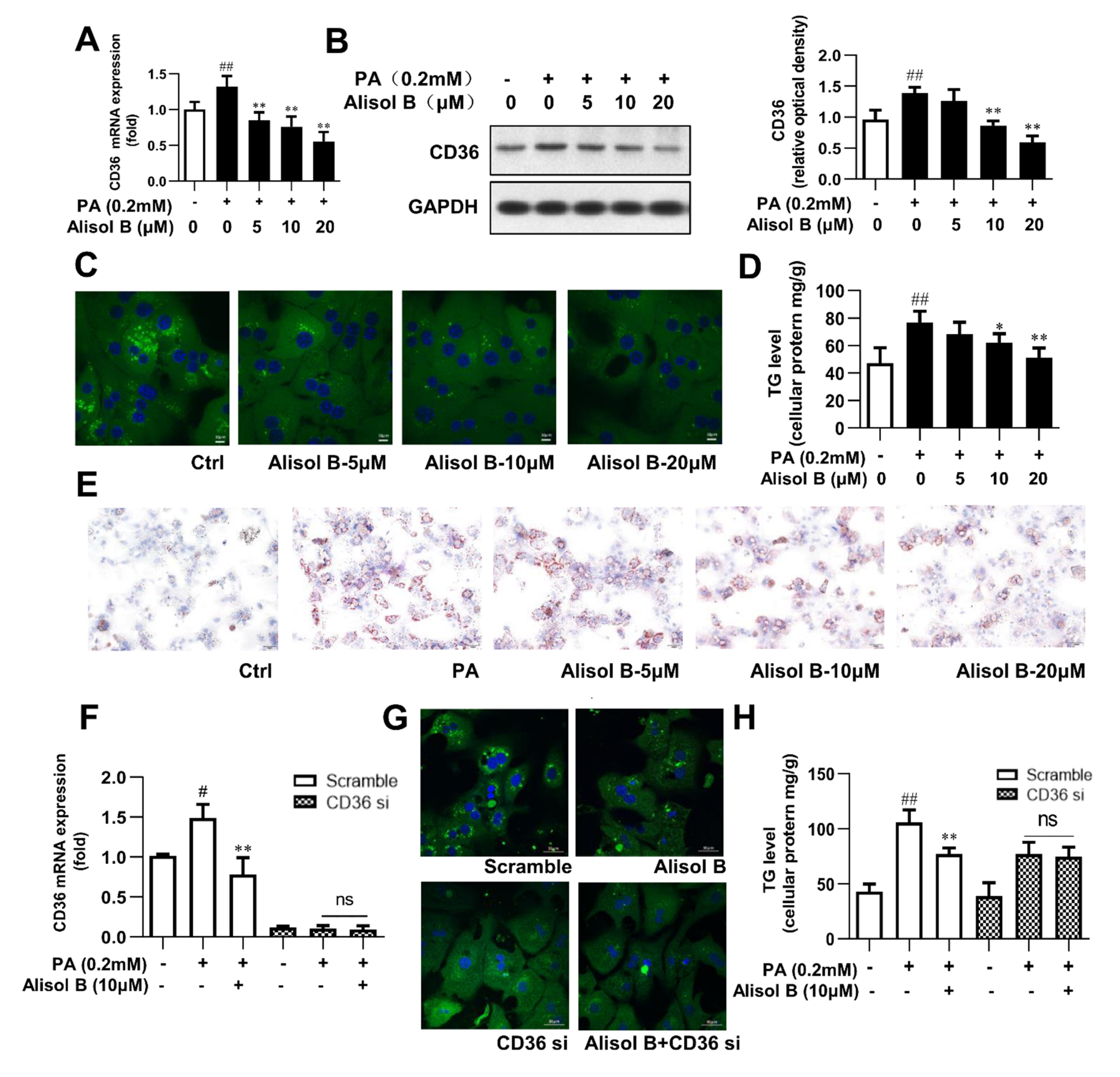 Nutrients 14 02411 g004