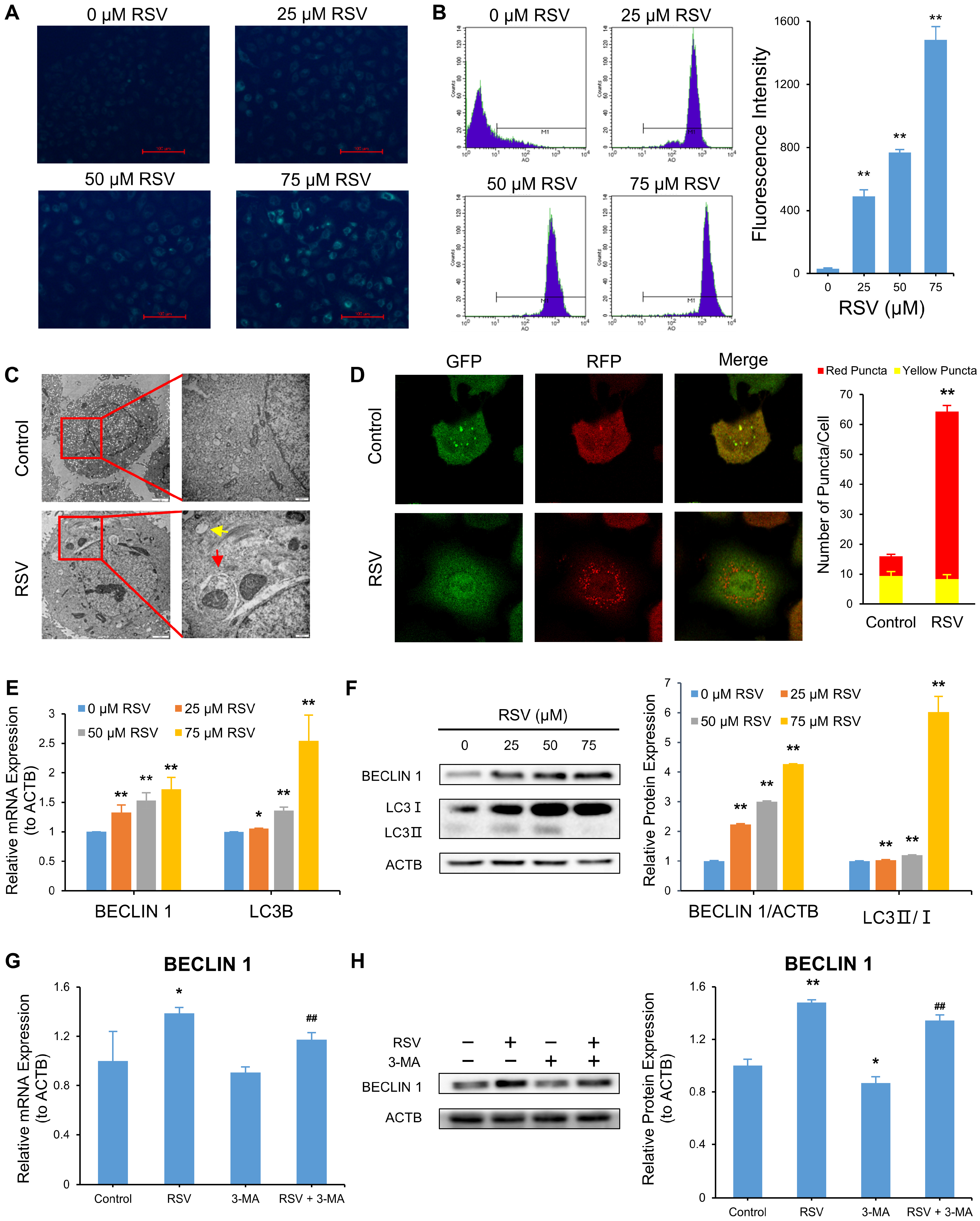 Nutrients 14 02413 g003 550
