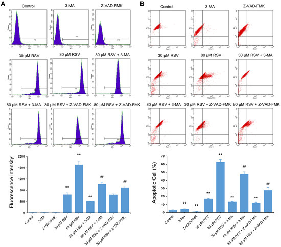 Resveratrol Induces Autophagy and Apoptosis in Non-Small-Cell Lung ...