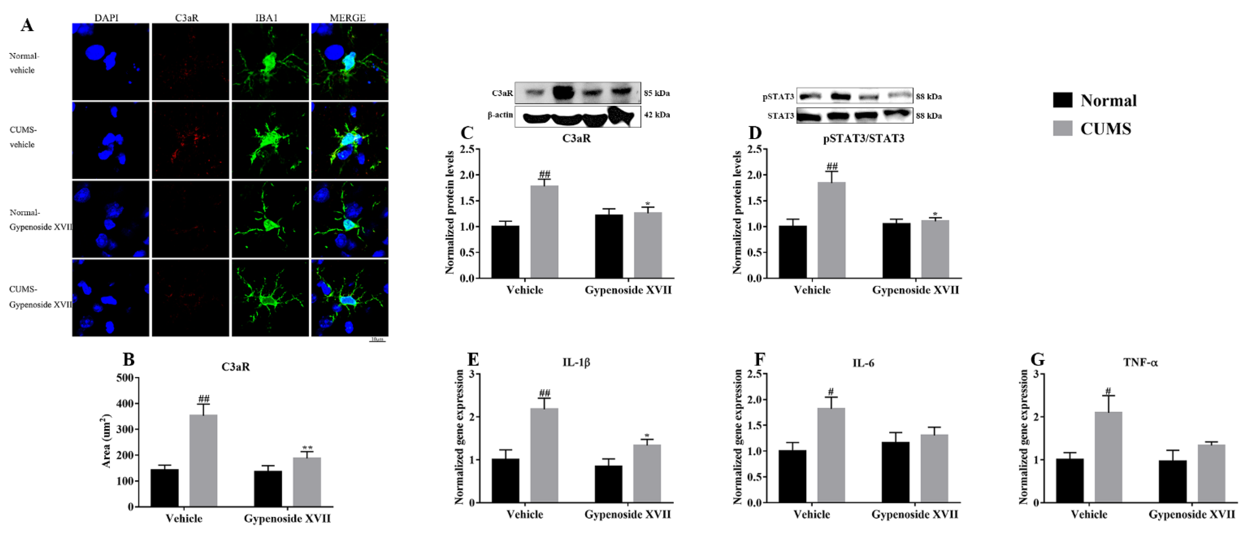 Nutrients 14 02418 g004 550