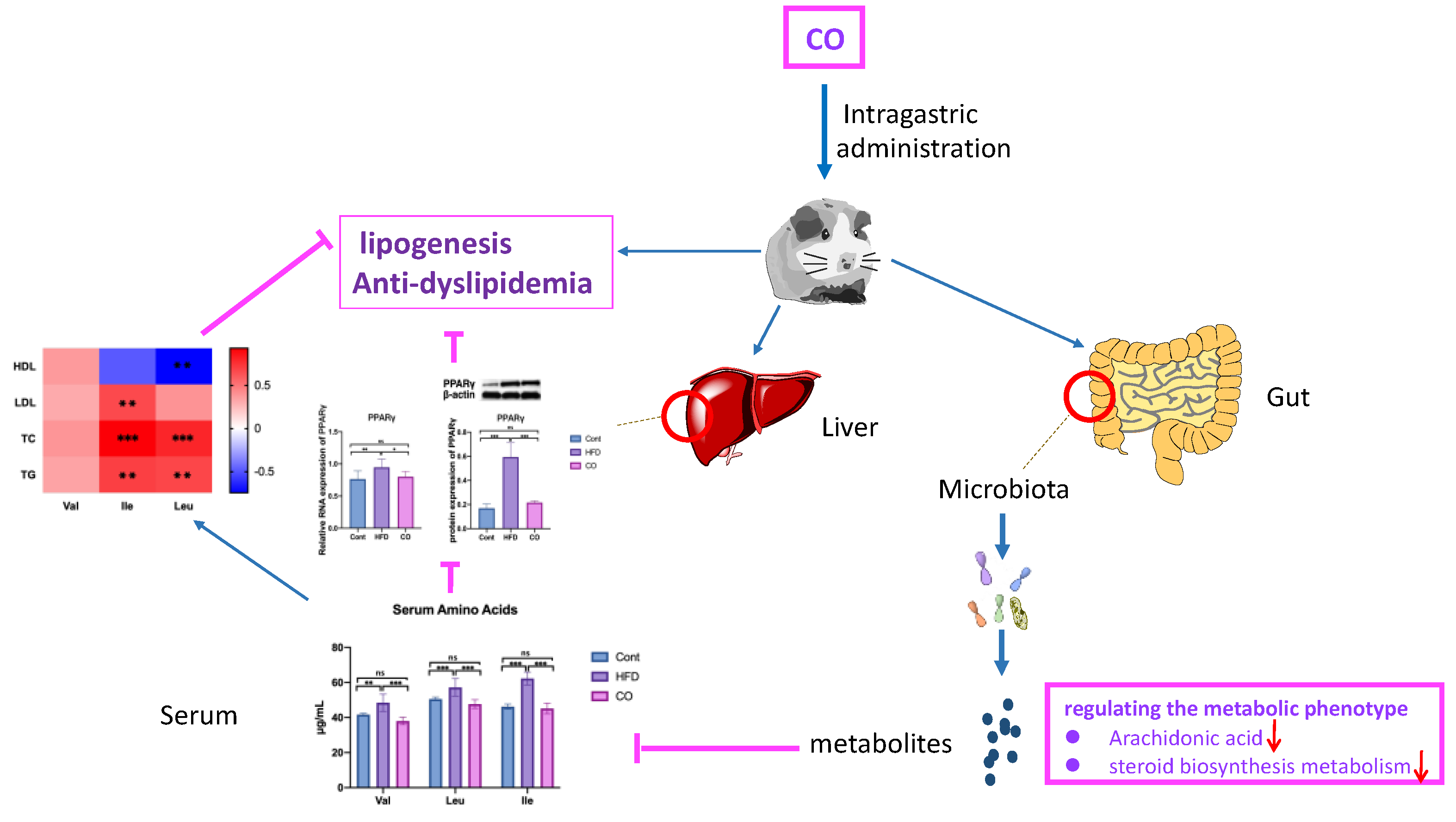 Nutrients 14 02424 g007