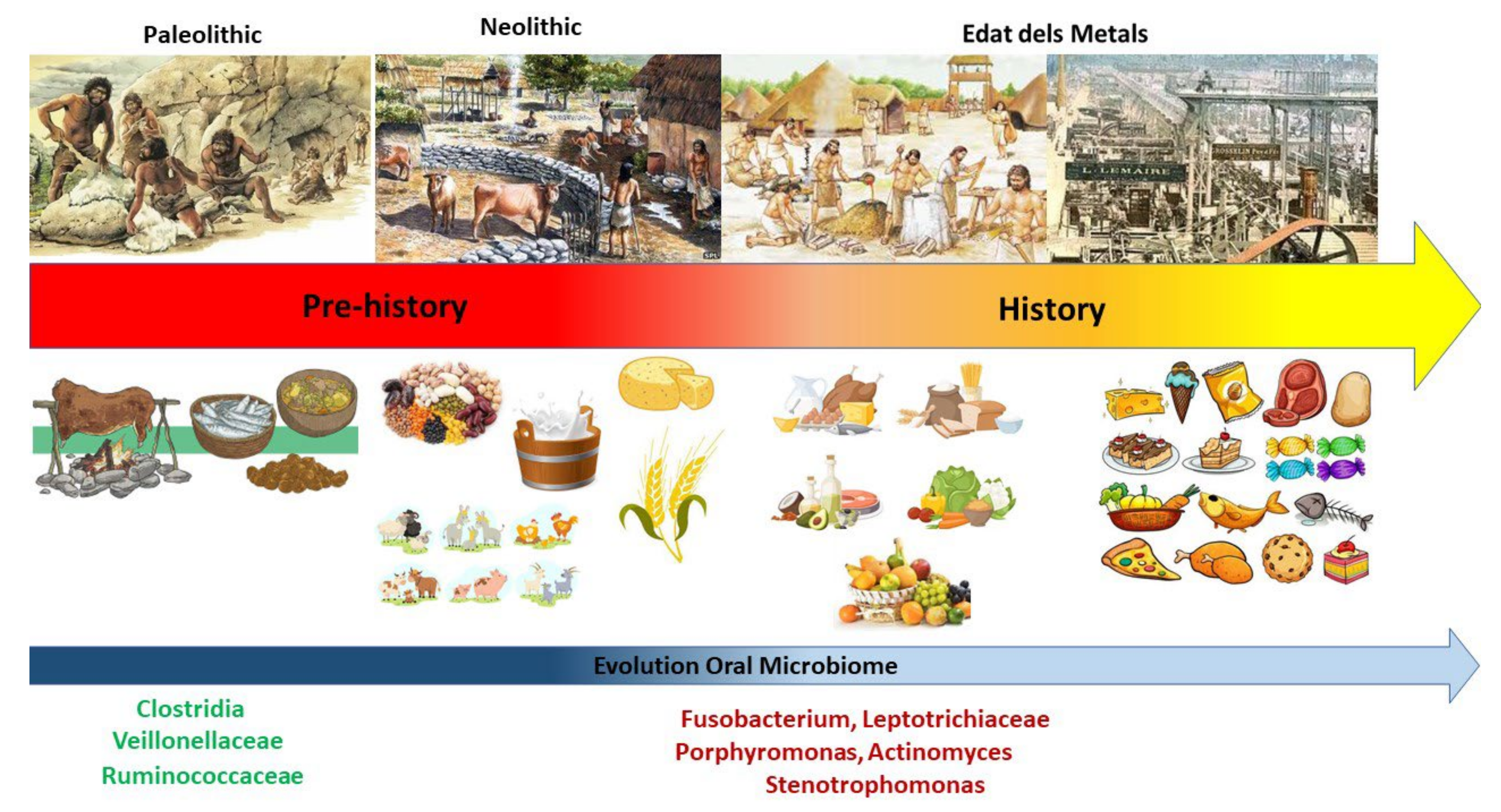 Nutrients 14 02426 g003