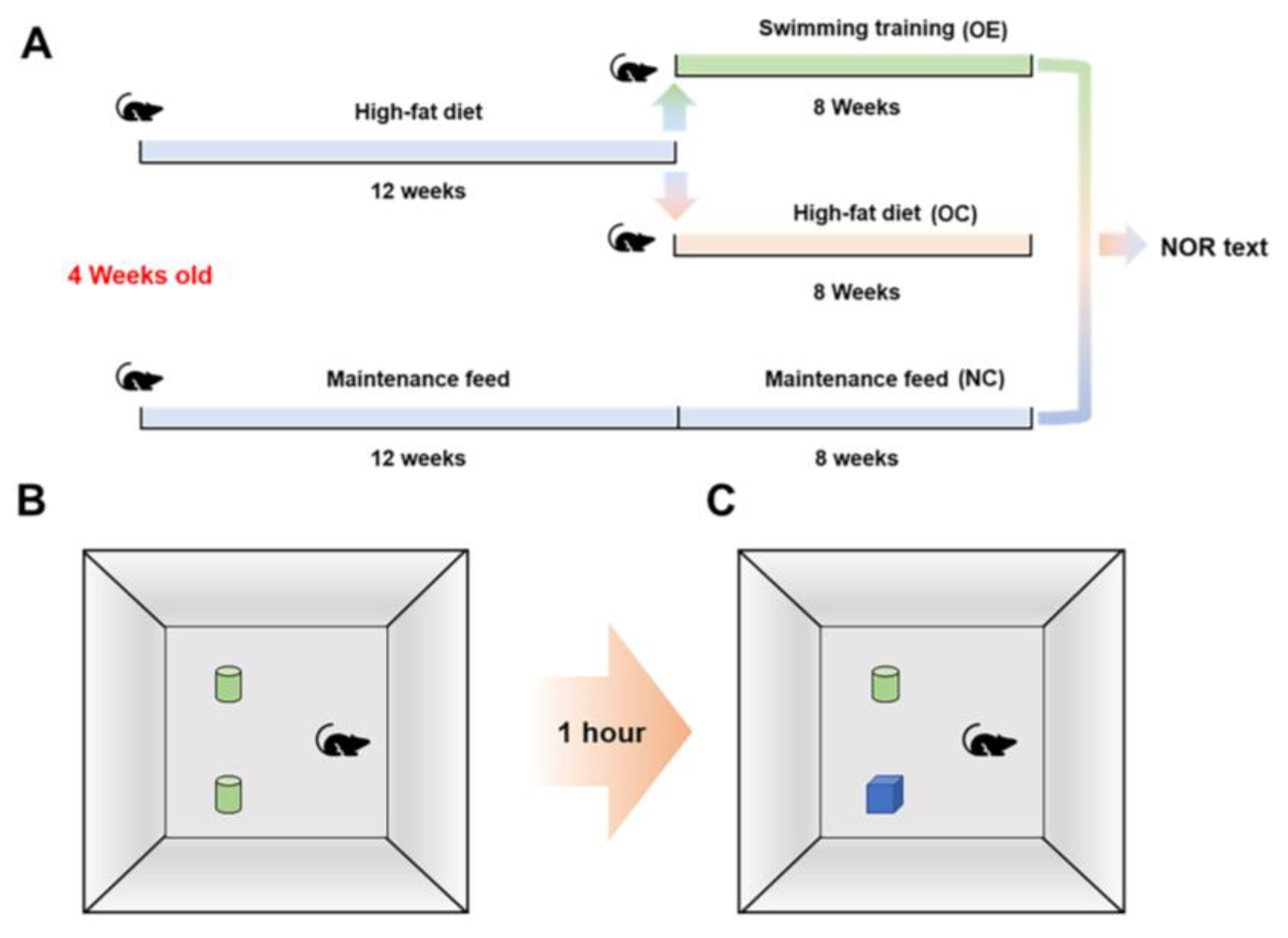 Nutrients 14 02432 g001