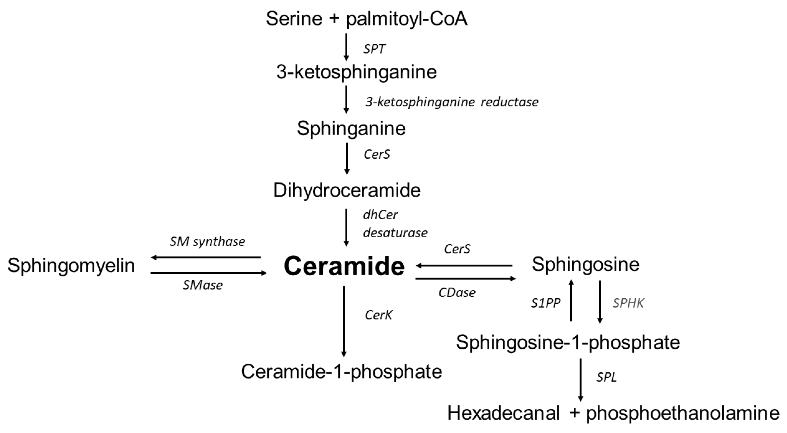 Nutrients 14 02438 g001