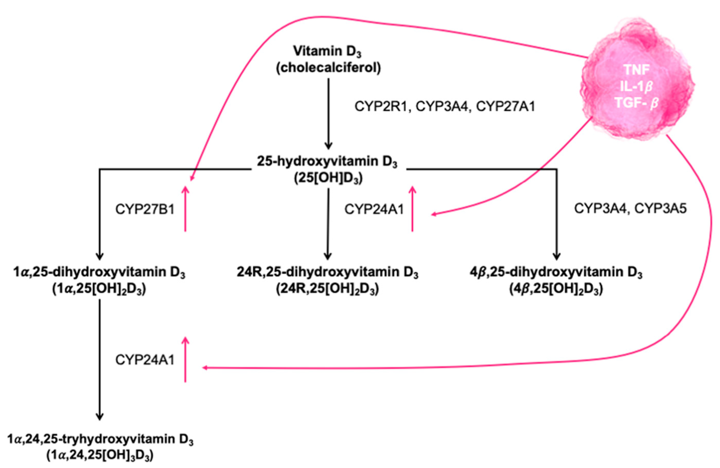 Nutrients 14 02447 g002 Nutrients 14 02447 g002