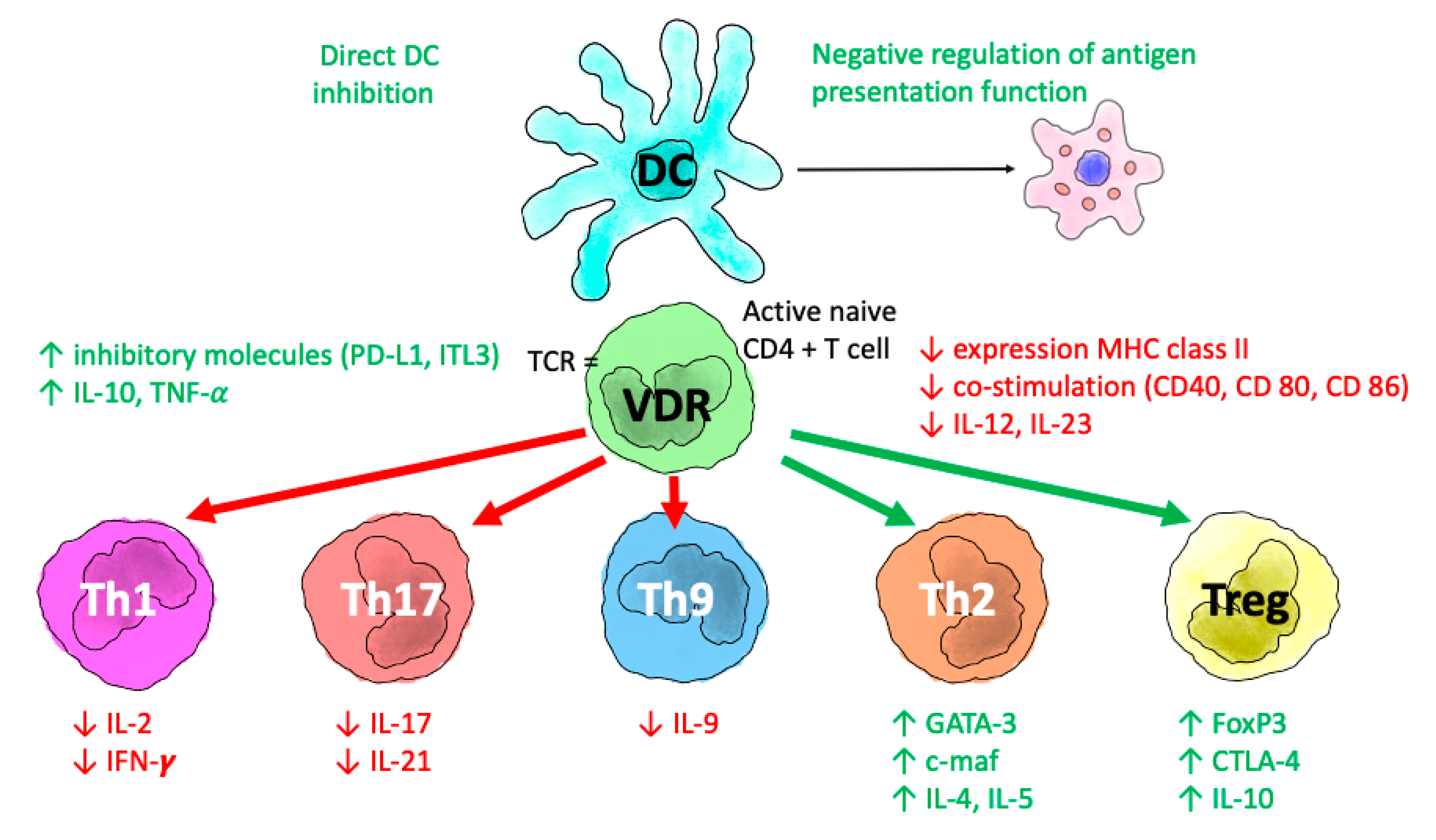 Nutrients 14 02447 g004 Nutrients 14 02447 g004