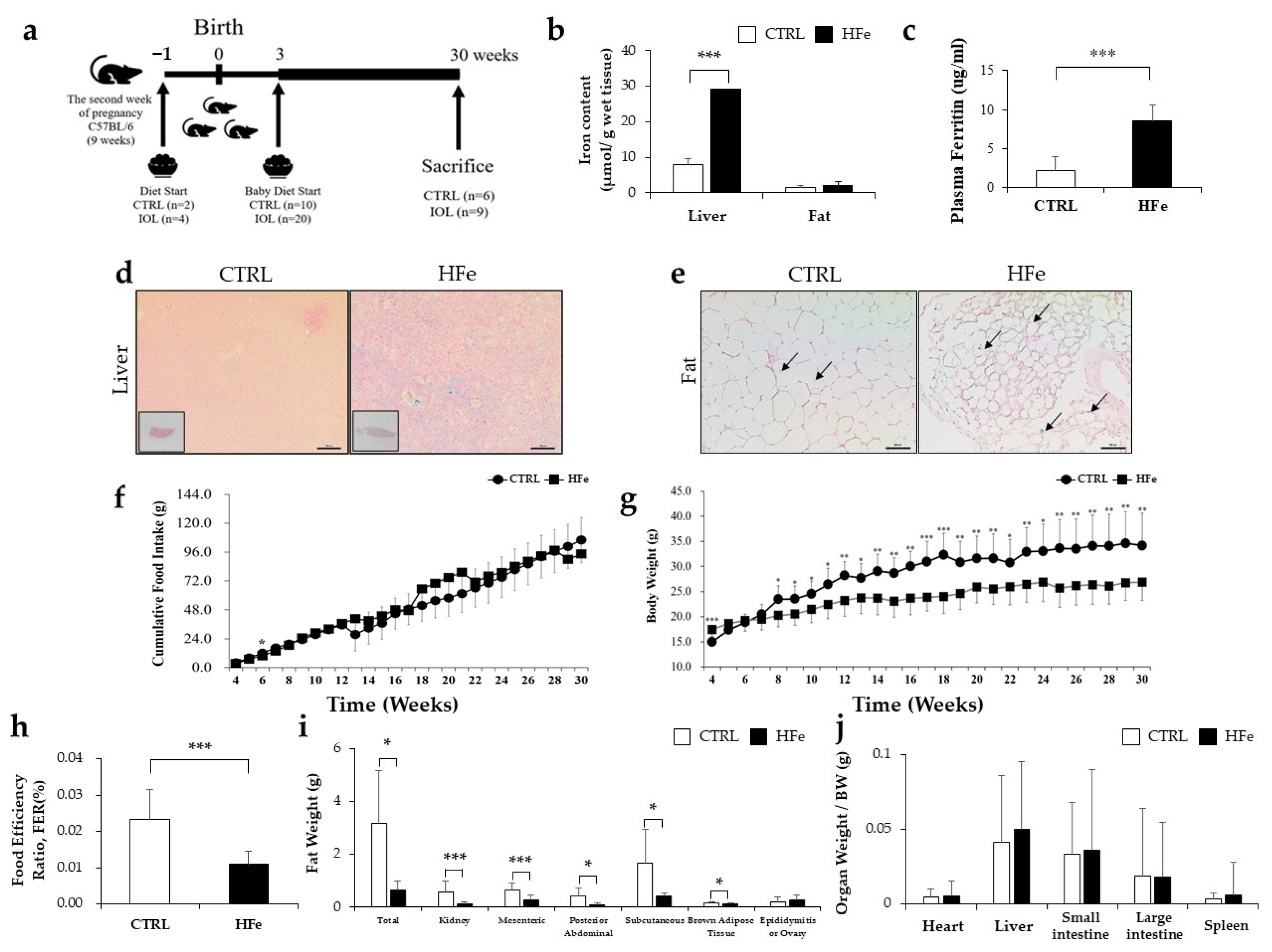 Nutrients 14 02451 g001