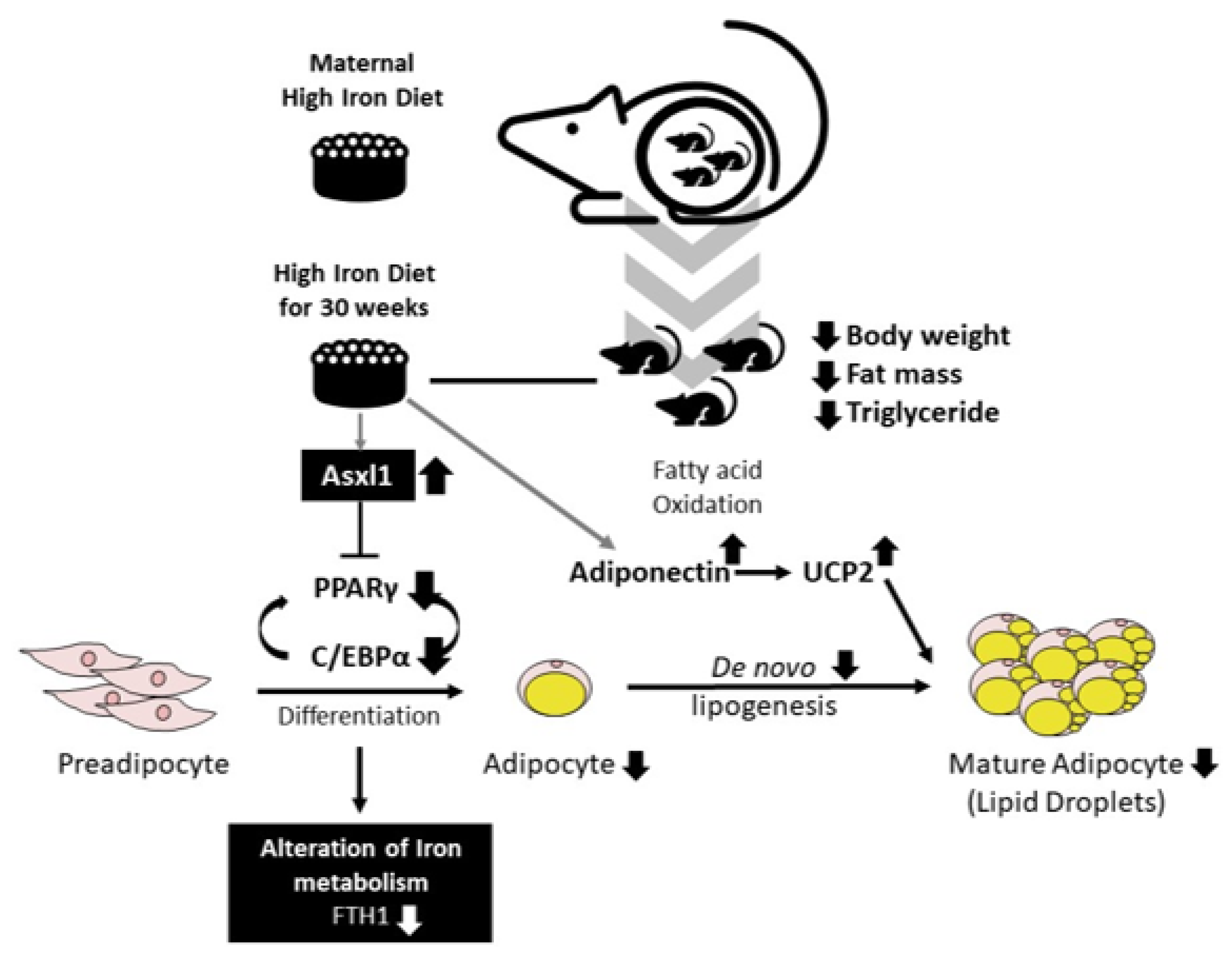 Nutrients 14 02451 g007