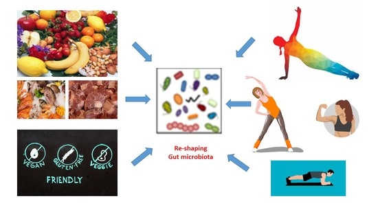 Nutrients Free Full-Text How Diet and Physical Activity Modulate Gut Microbiota Evidence, and Perspectives pic image