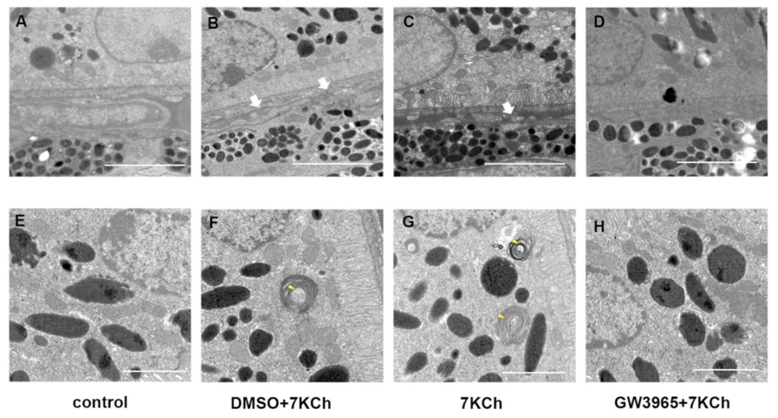 Nutrients 14 02473 g004