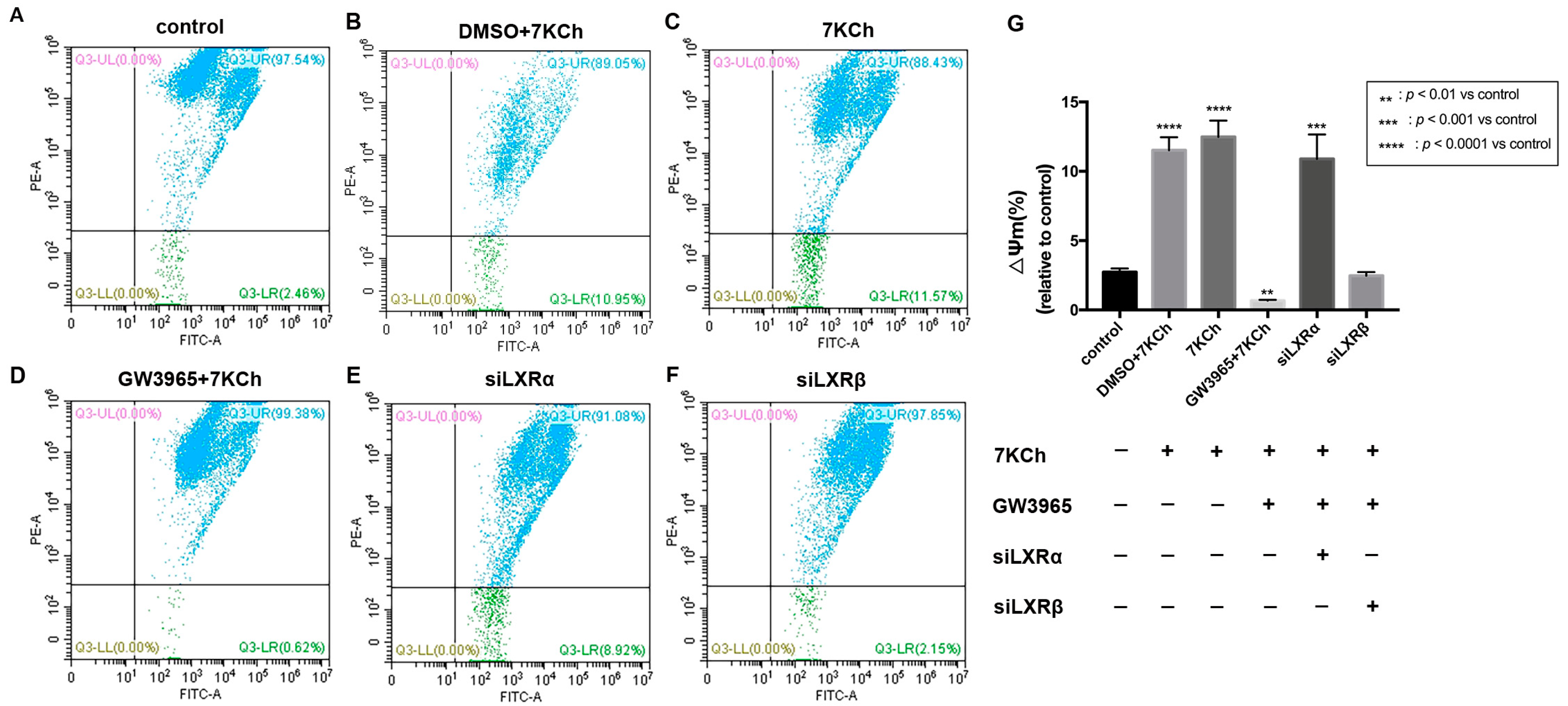 Nutrients 14 02473 g008
