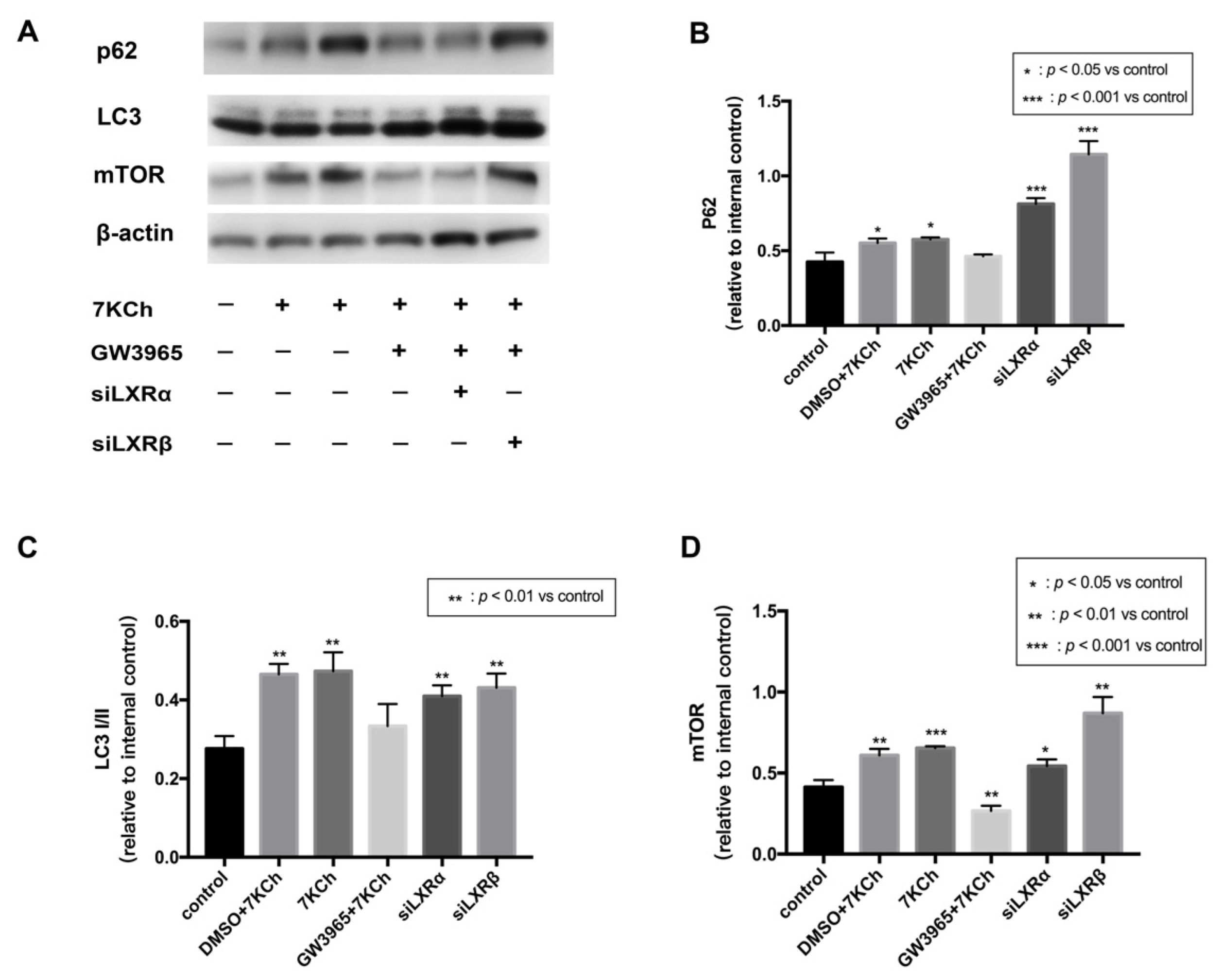 Nutrients 14 02473 g009
