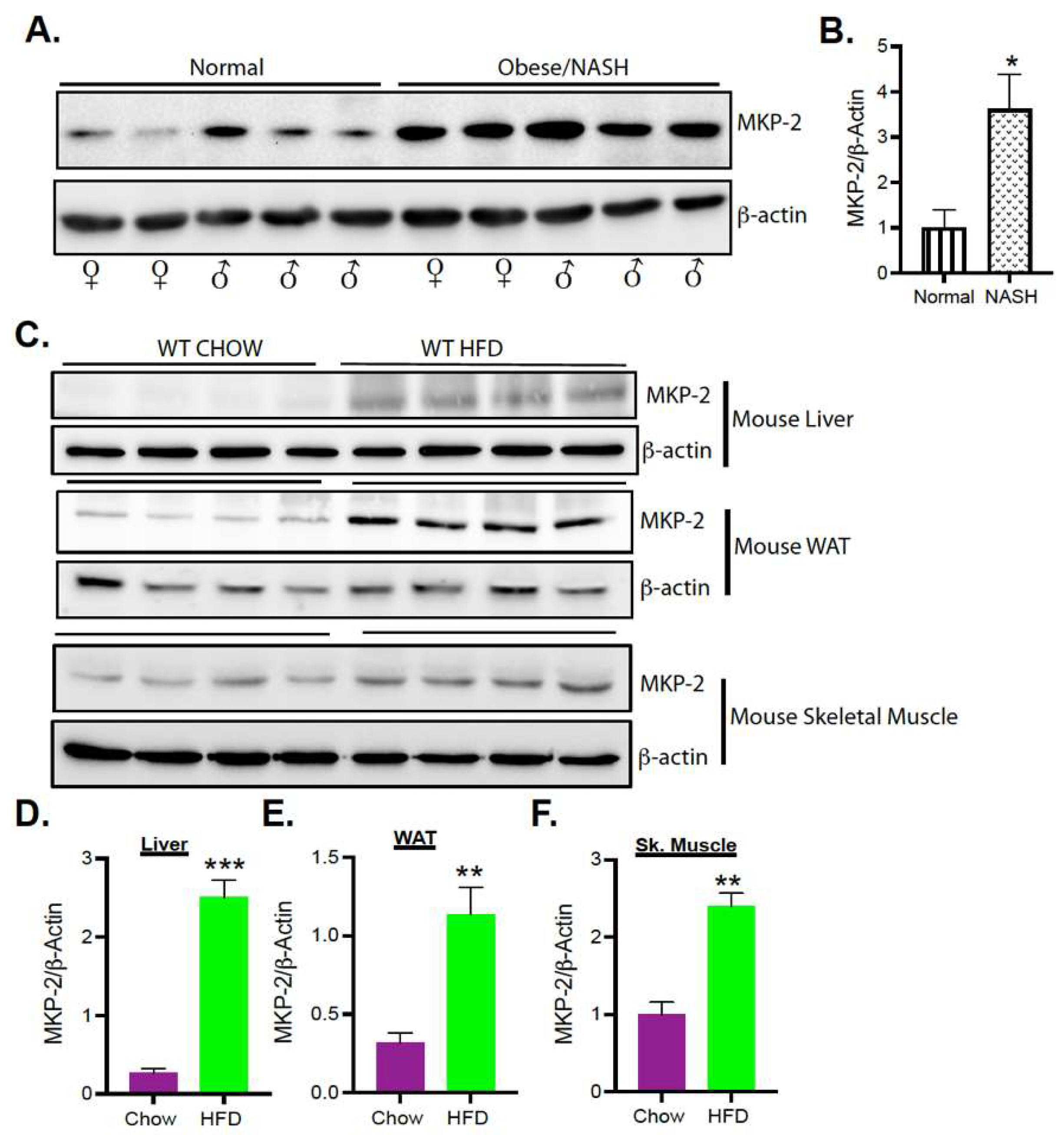 Nutrients 14 02475 g001 Nutrients 14 02475 g001