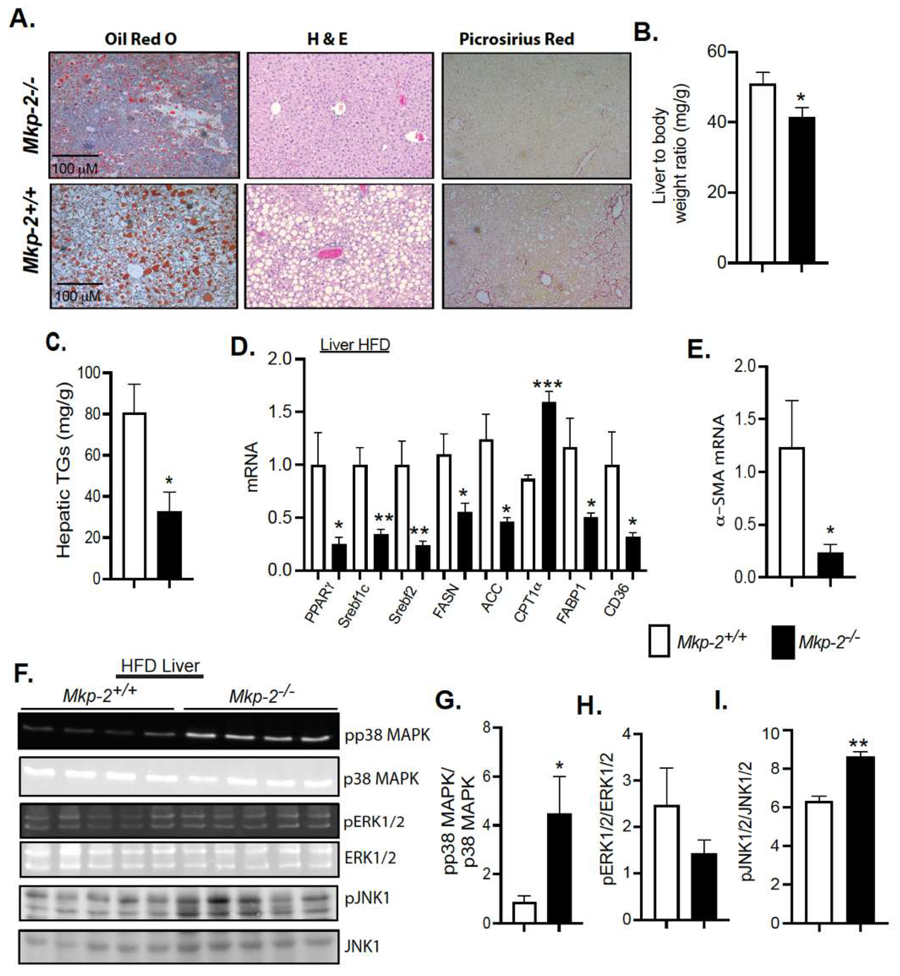 Nutrients 14 02475 g005 Nutrients 14 02475 g005