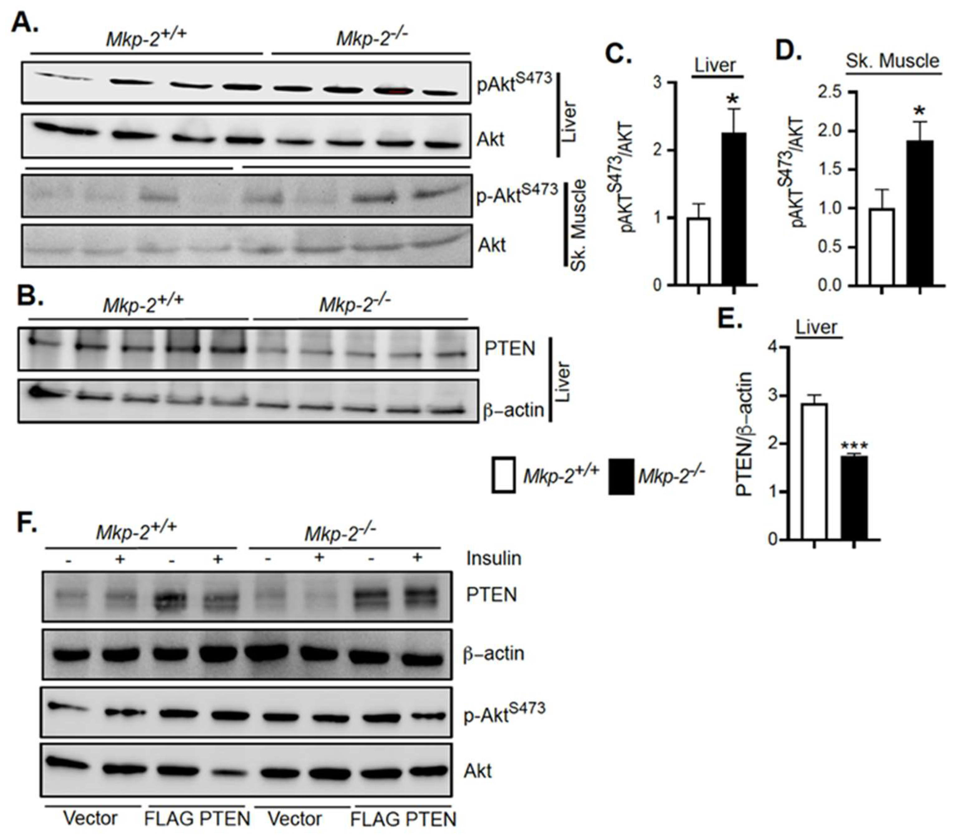 Nutrients 14 02475 g007 Nutrients 14 02475 g007