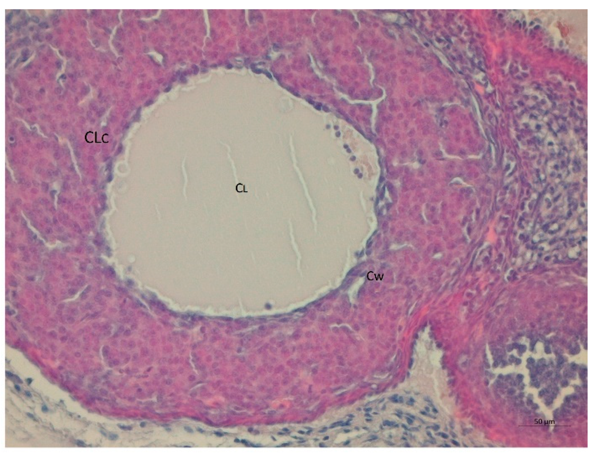 Nutrients 14 02478 g009