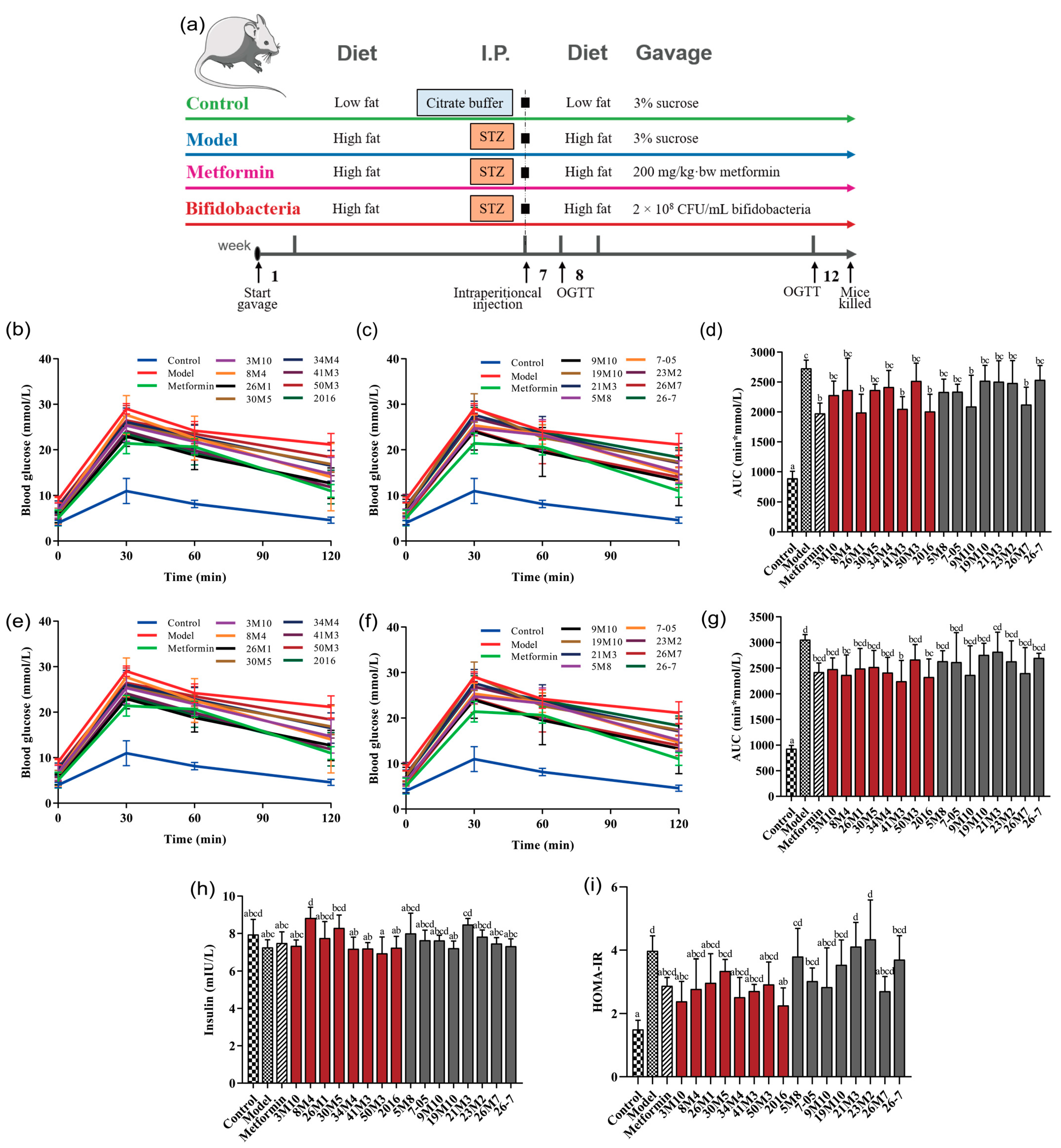 Nutrients 14 02479 g001 550