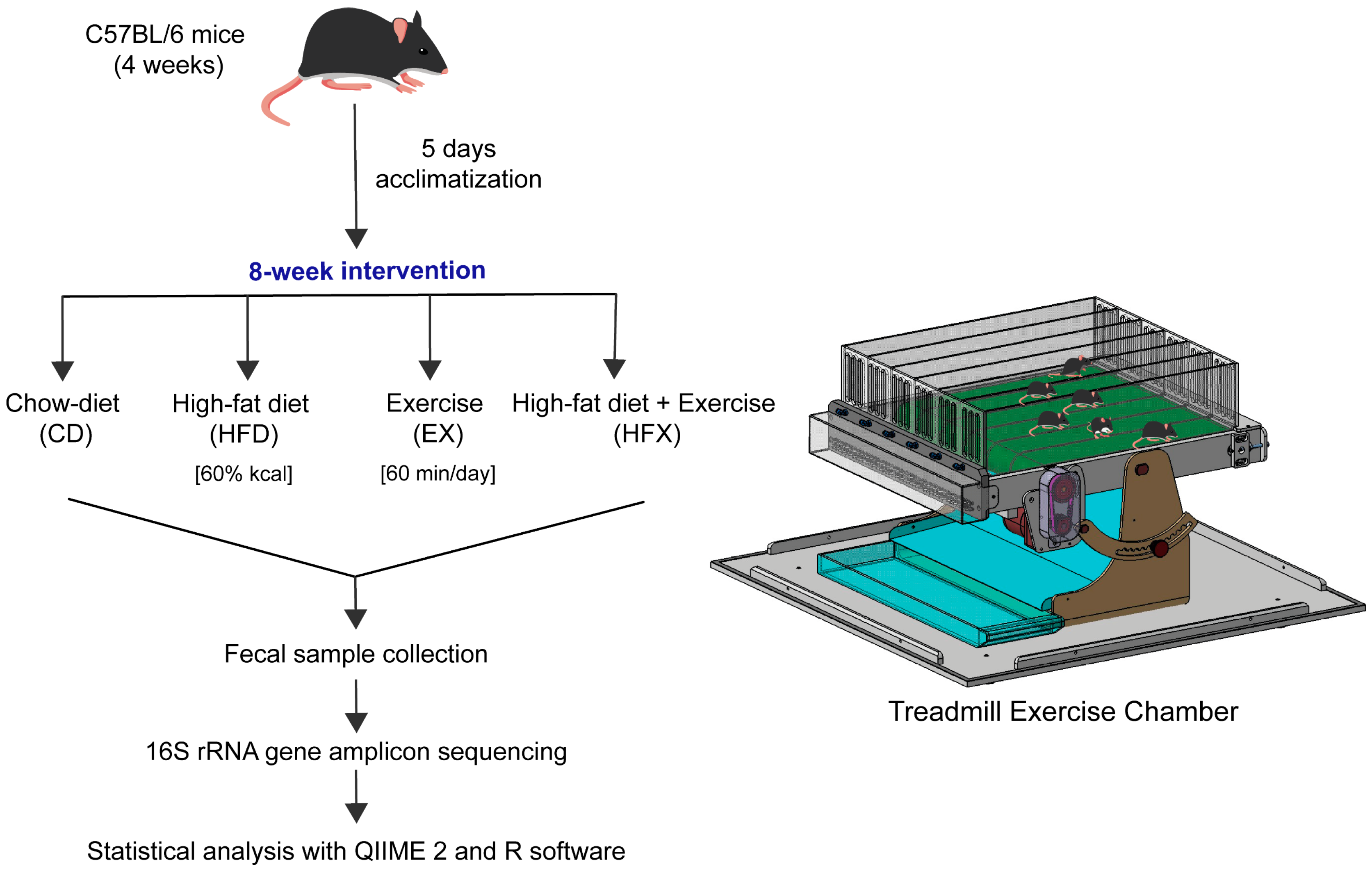 Nutrients 14 02507 g001 550