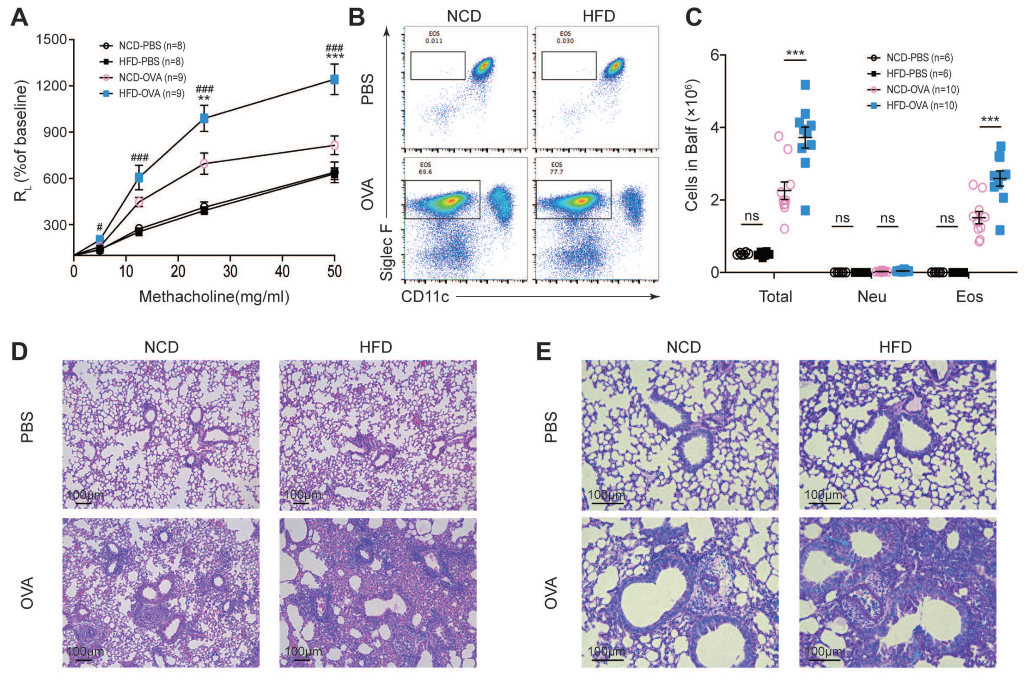 Nutrients 14 02508 g001