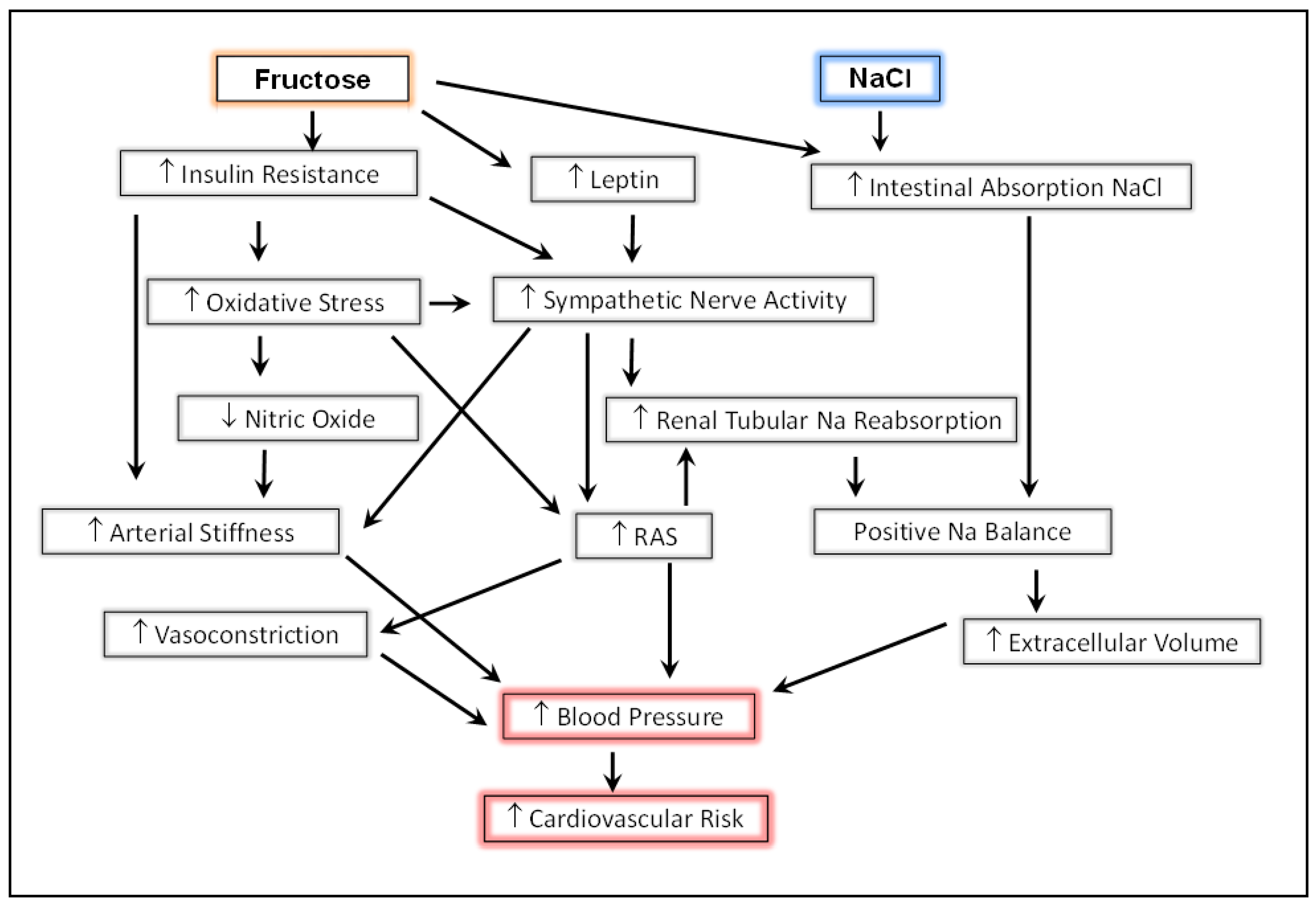 Nutrients 14 02515 g001