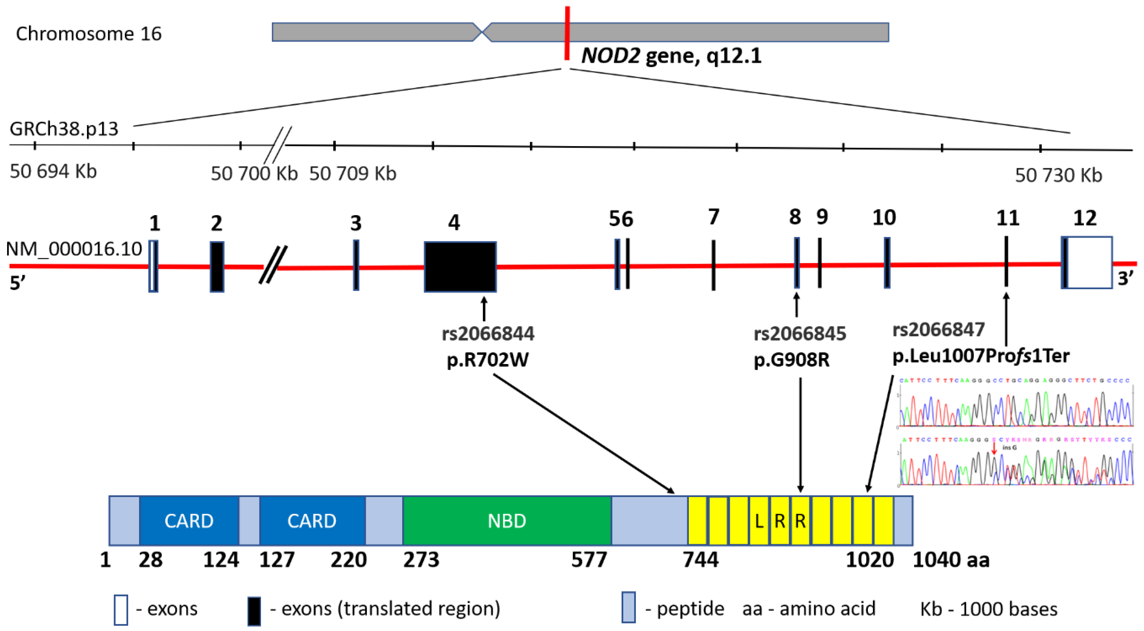 Nutrients 14 02520 g002