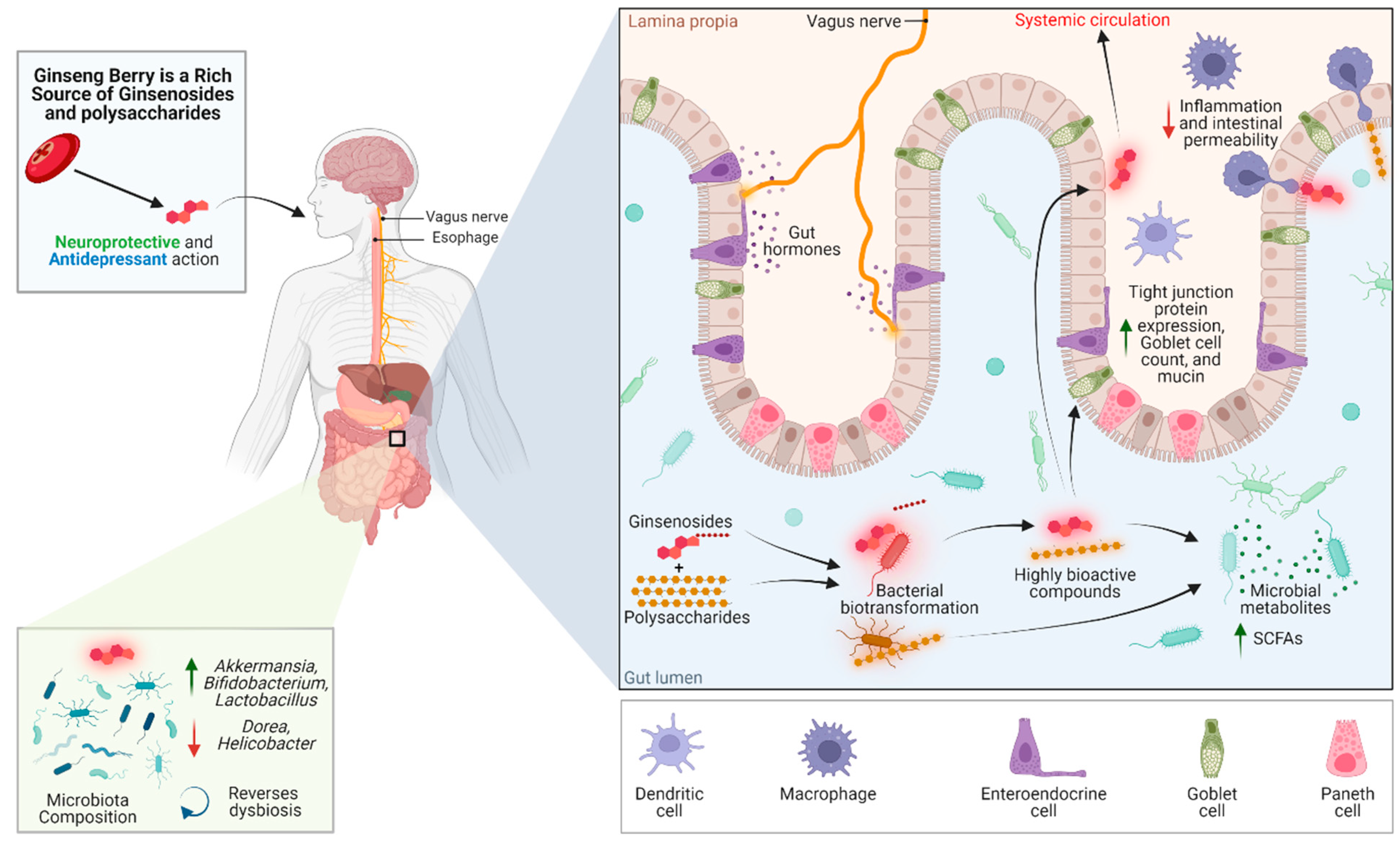 Nutrients 14 02523 g001 Nutrients 14 02523 g001