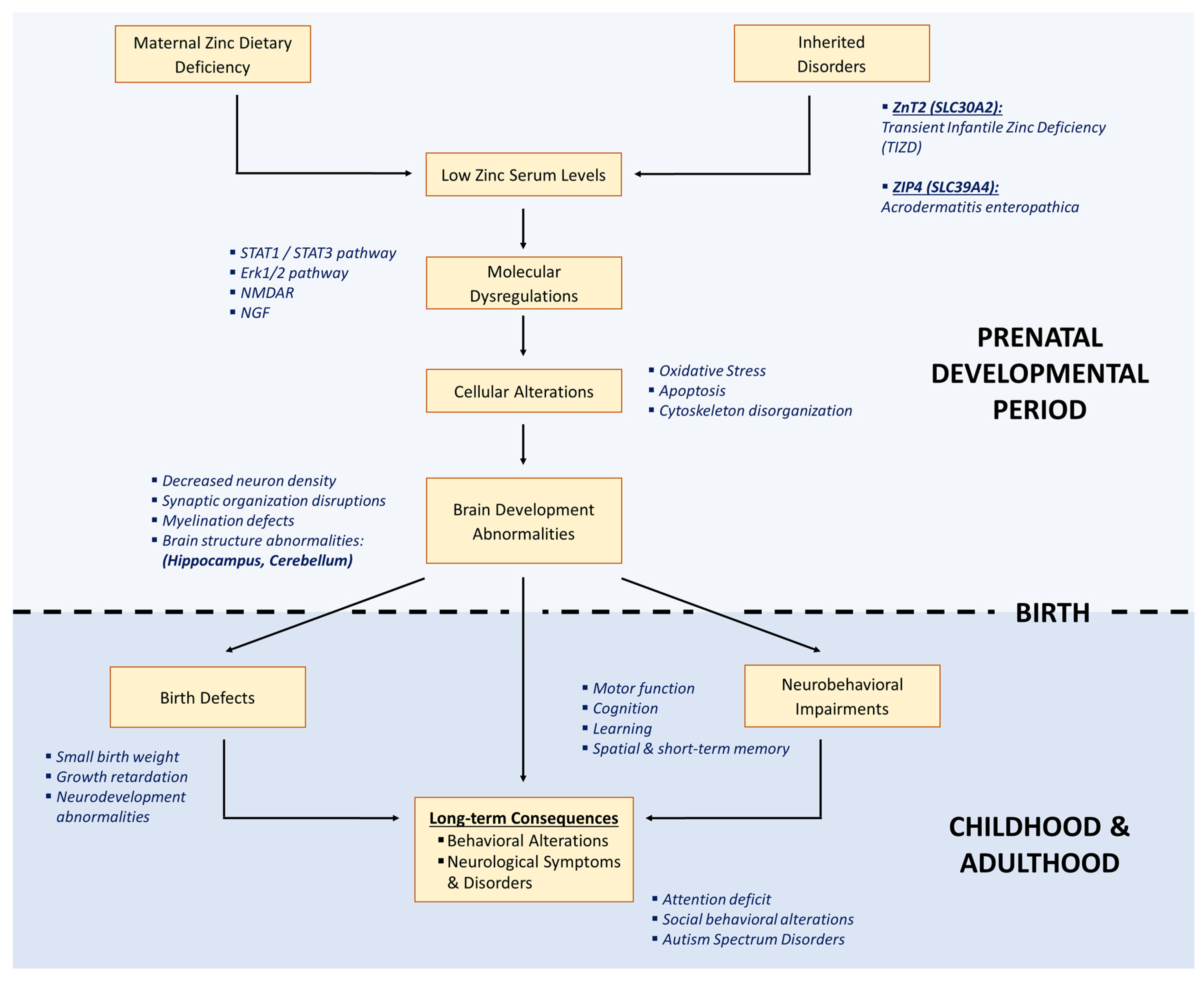 Nutrients 14 02526 g002 Nutrients 14 02526 g002