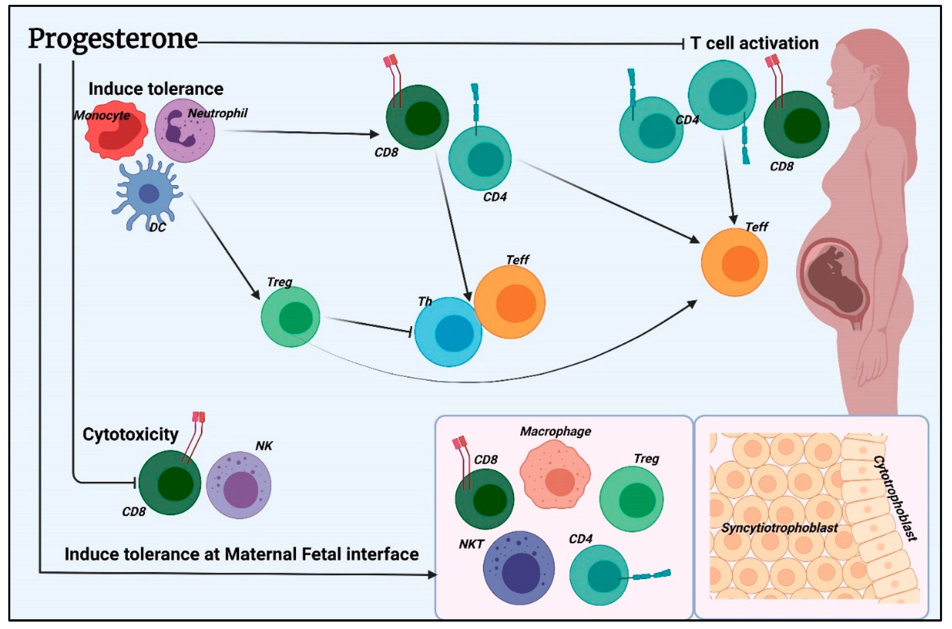 Nutrients 14 02534 g001