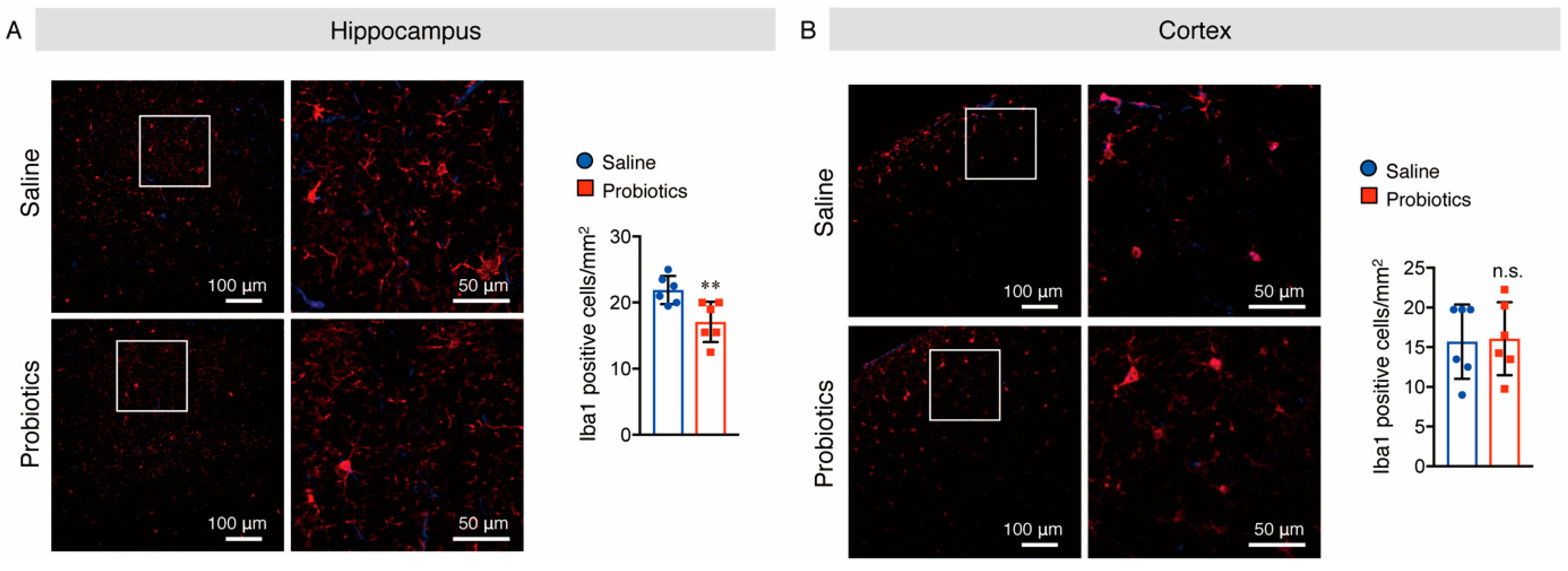 Nutrients 14 02543 g007 Nutrients 14 02543 g007