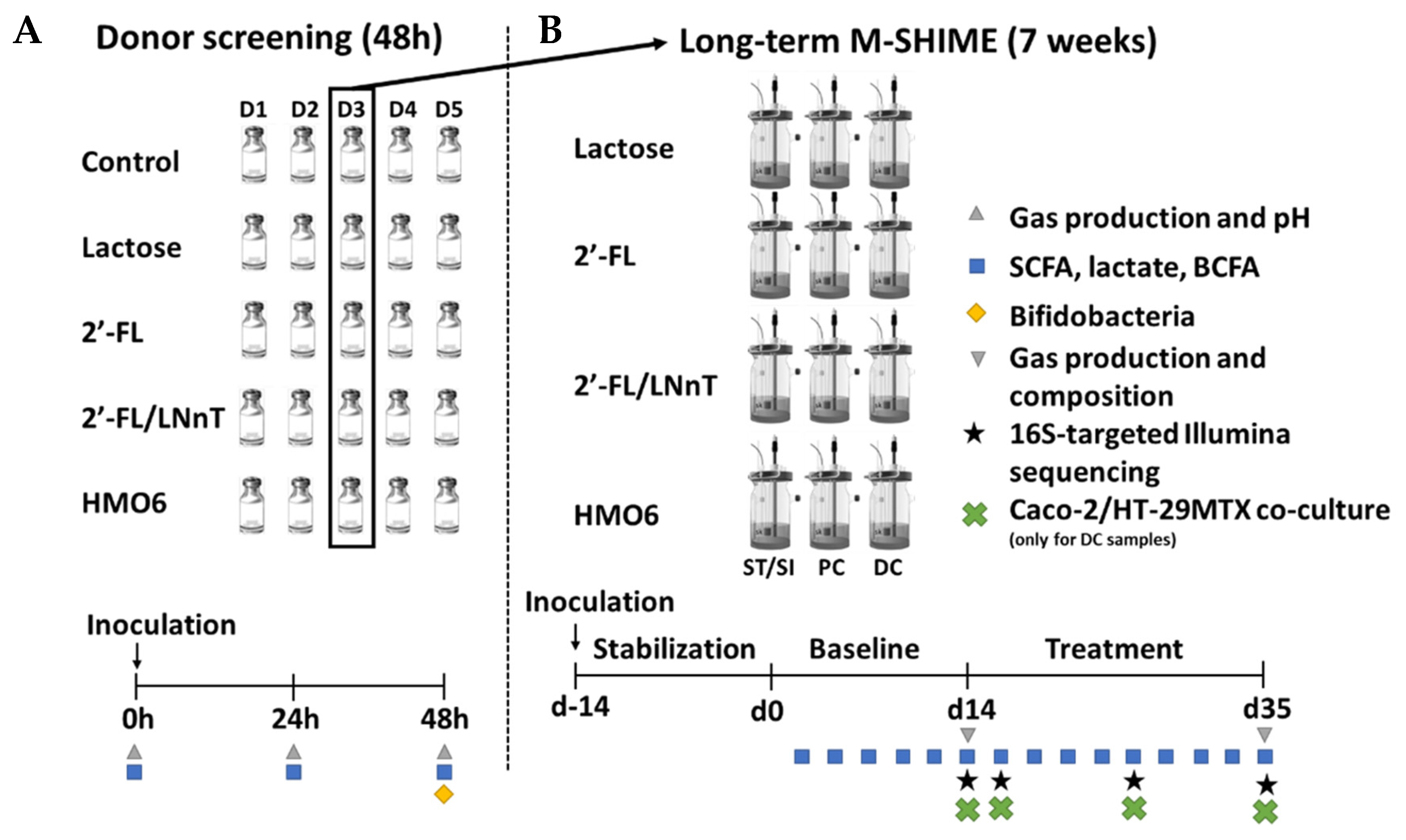 Nutrients 14 02546 g001